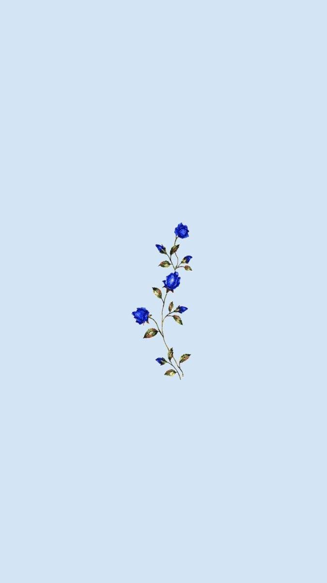 675x1200 Aesthetic Flowers Simple Wallpaper