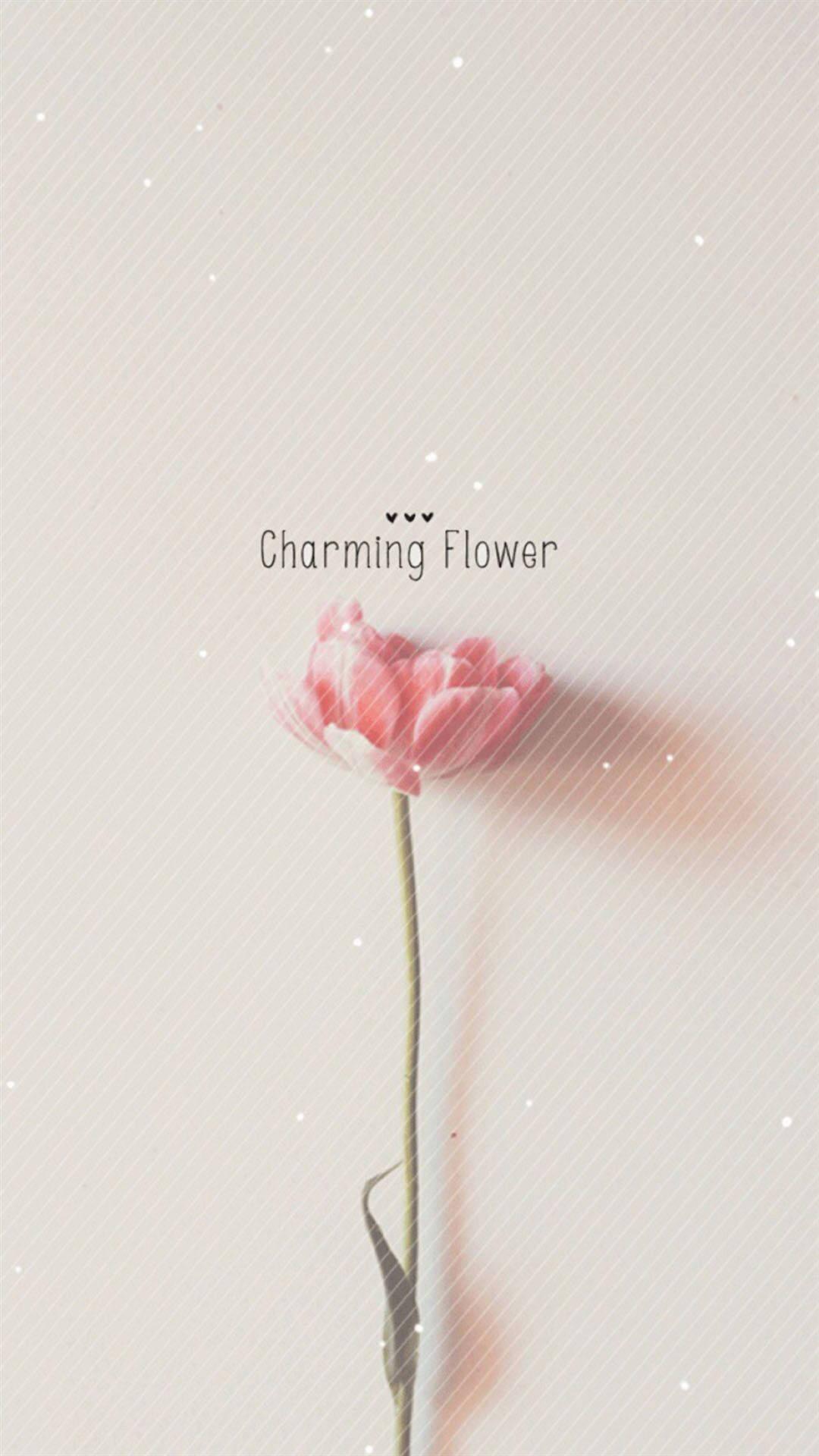 1080x1920 Download Charming Flower Simple iPhone Wallpaper