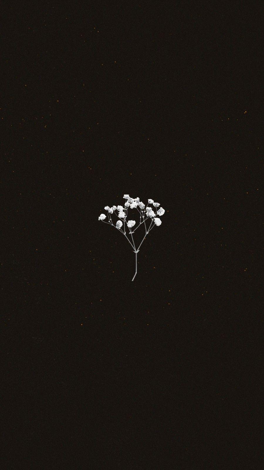 900x1600 Free download flower wallpaper Cute simple wallpaper Minimalist wallpaper [900x1600] for your Desktop, Mobile & Tablet. Explore Aesthetic Flowers Simple Wallpaper. Simple Background, Simple Desktop Background, Simple Background Image