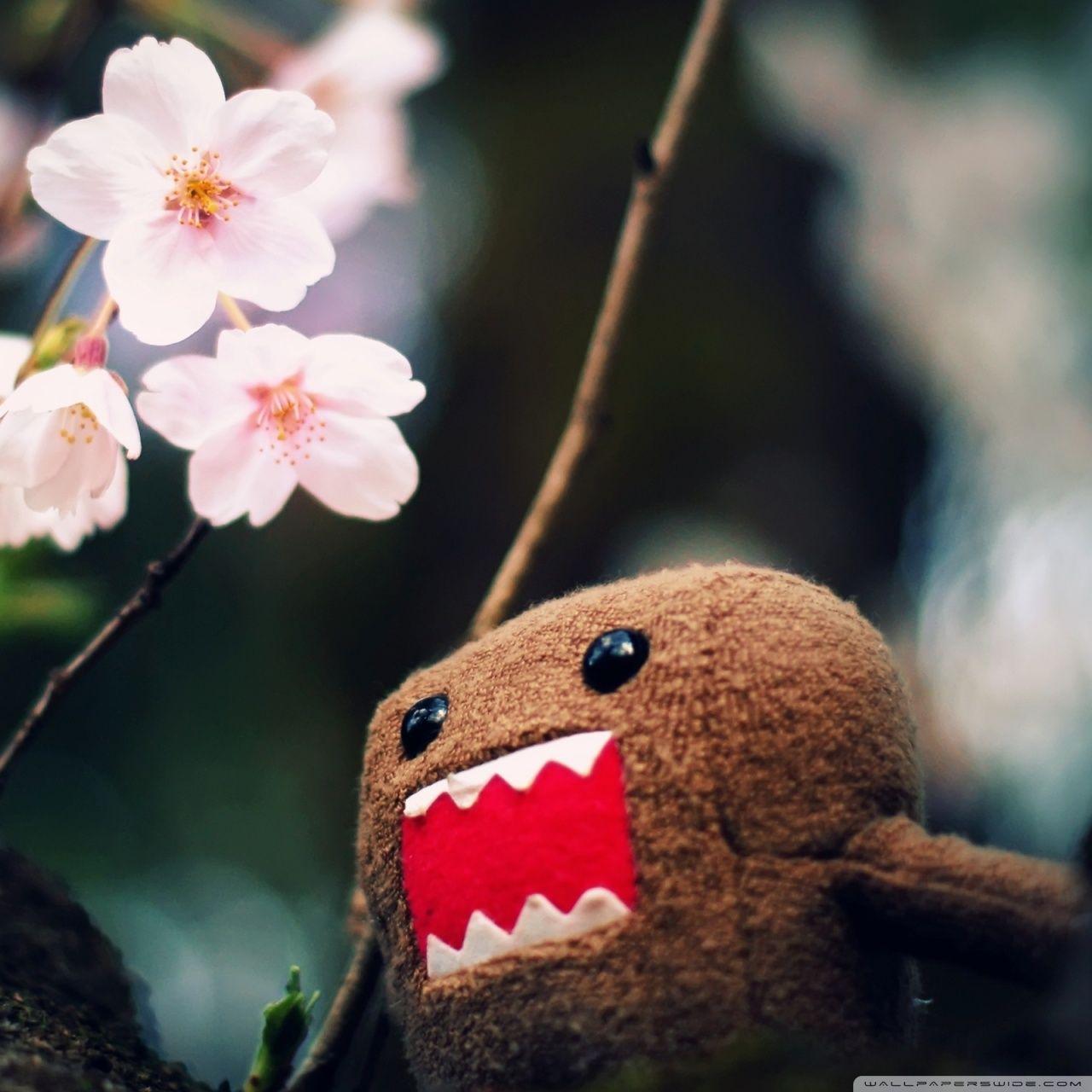 1280x1280 Domo Kun And Tree Blossoms ❤ 4K HD Desktop Wallpaper for 4K Ultra