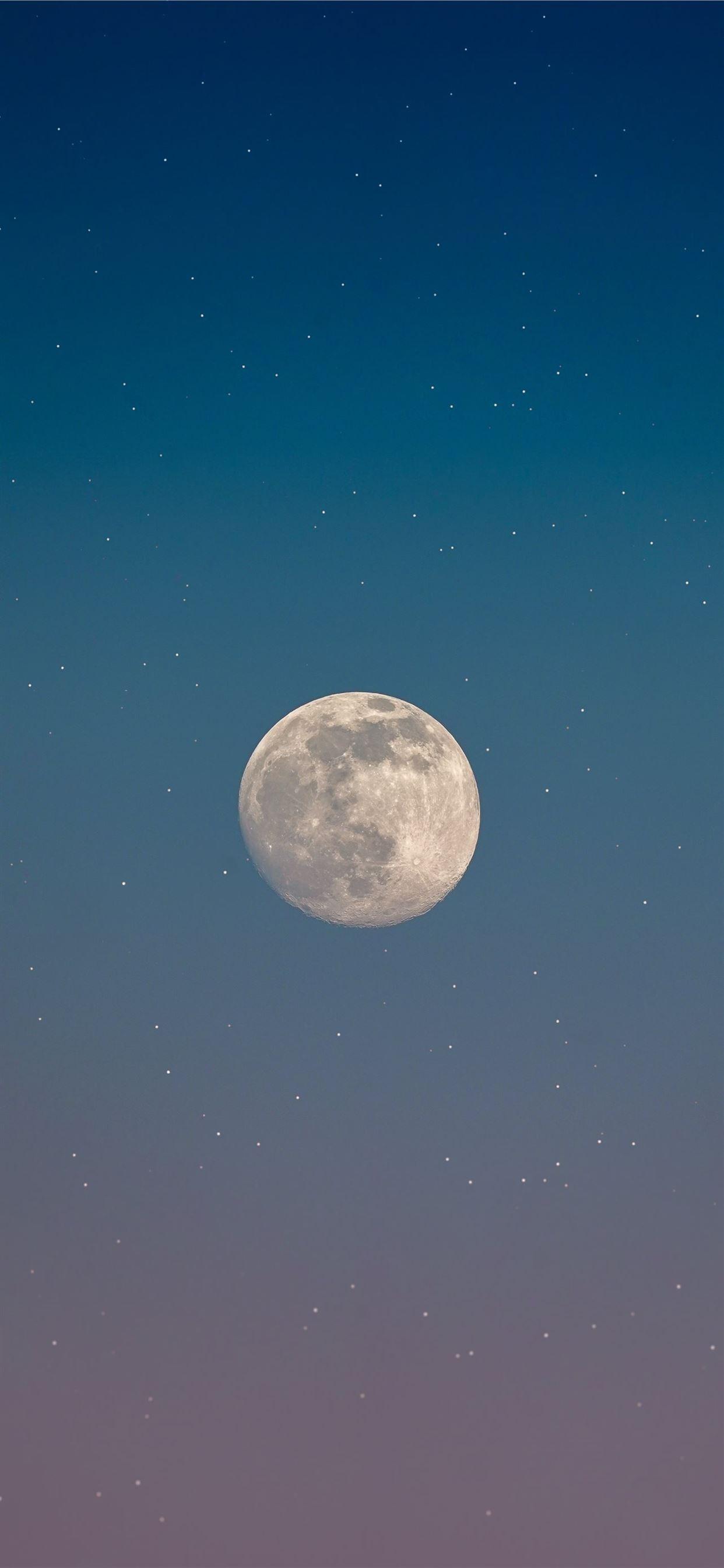 1242x2688 full moon in the sky iPhone Wallpaper Free Download