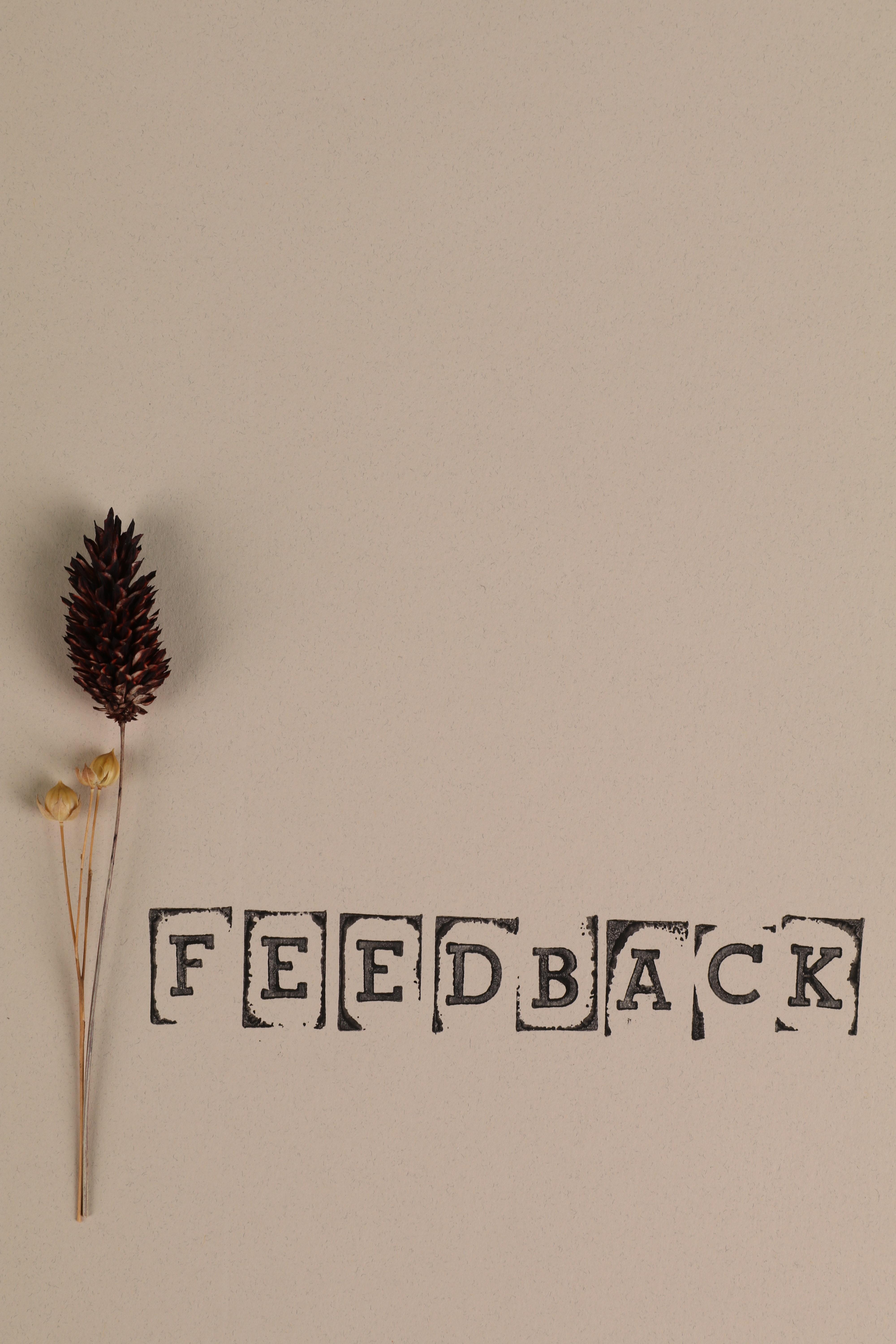 FEEDBACK Wallpapers - Top Free FEEDBACK Backgrounds - WallpaperAccess