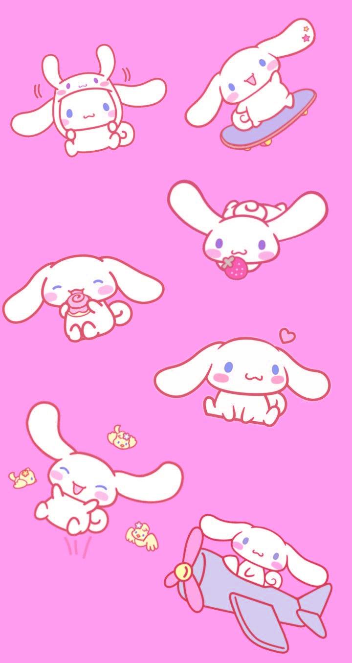 720x1355 Cinnamoroll 2023 Wallpaper