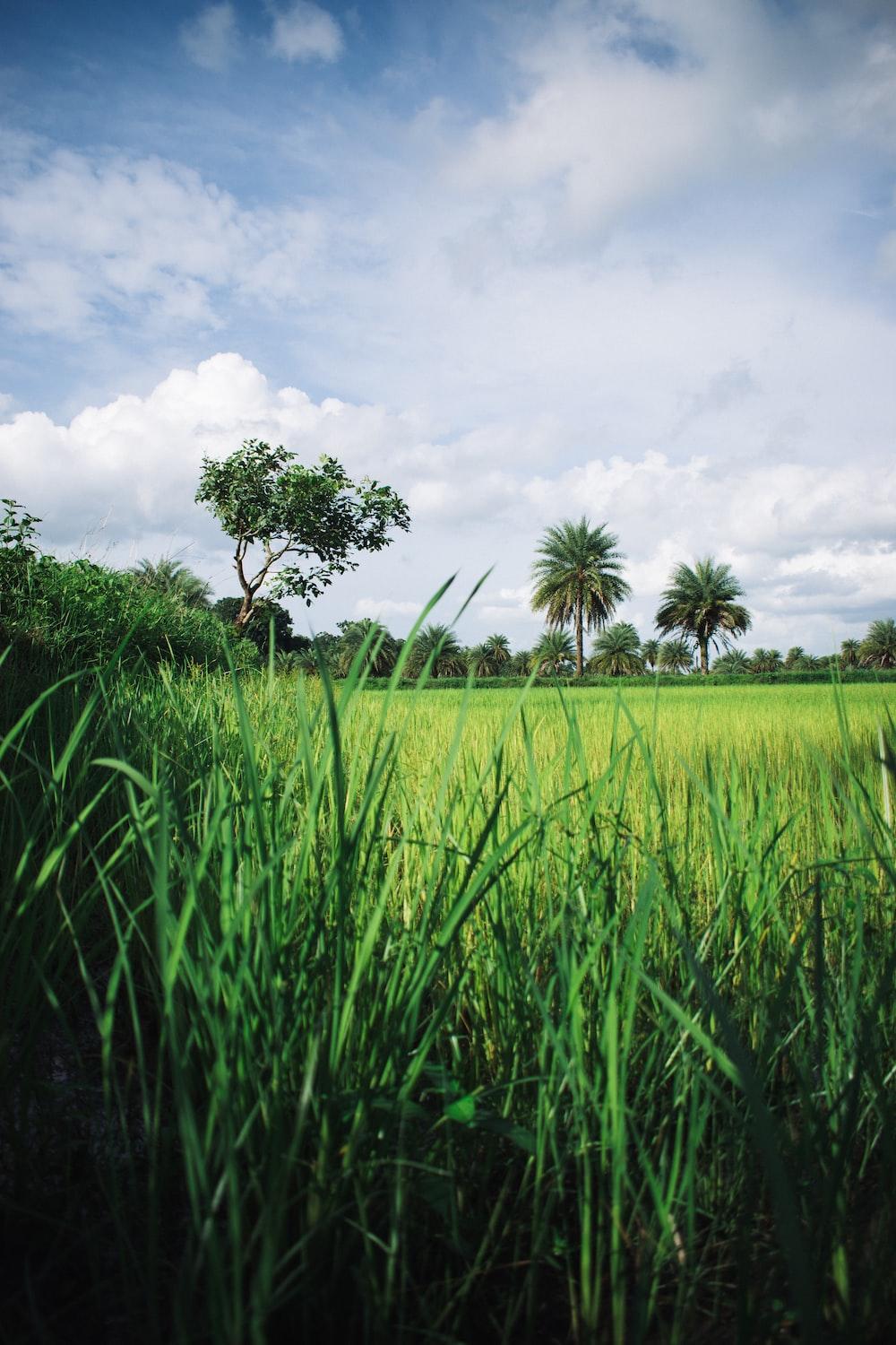 1000x1500 Chhattisgarh India Picture. Download Free Image
