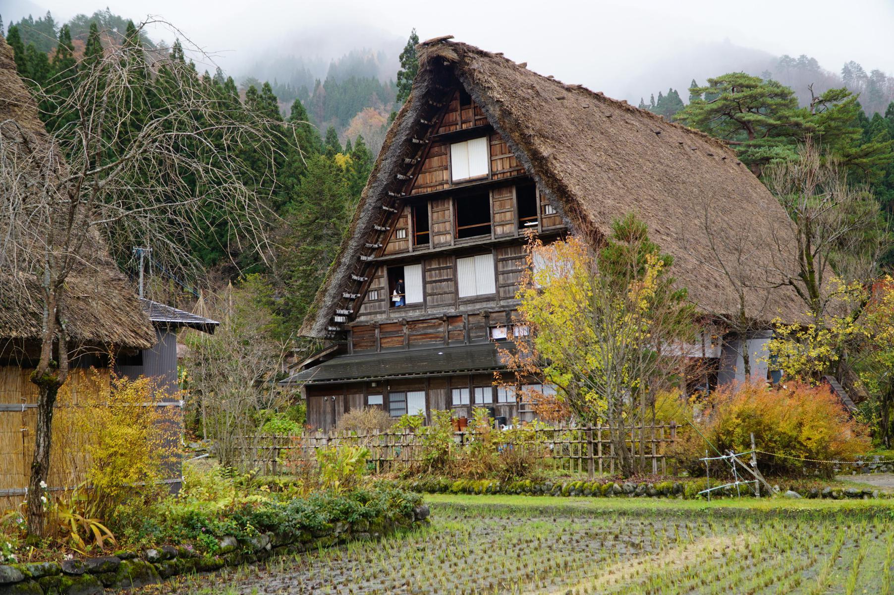 1804x1200 Shirakawa Wallpaper