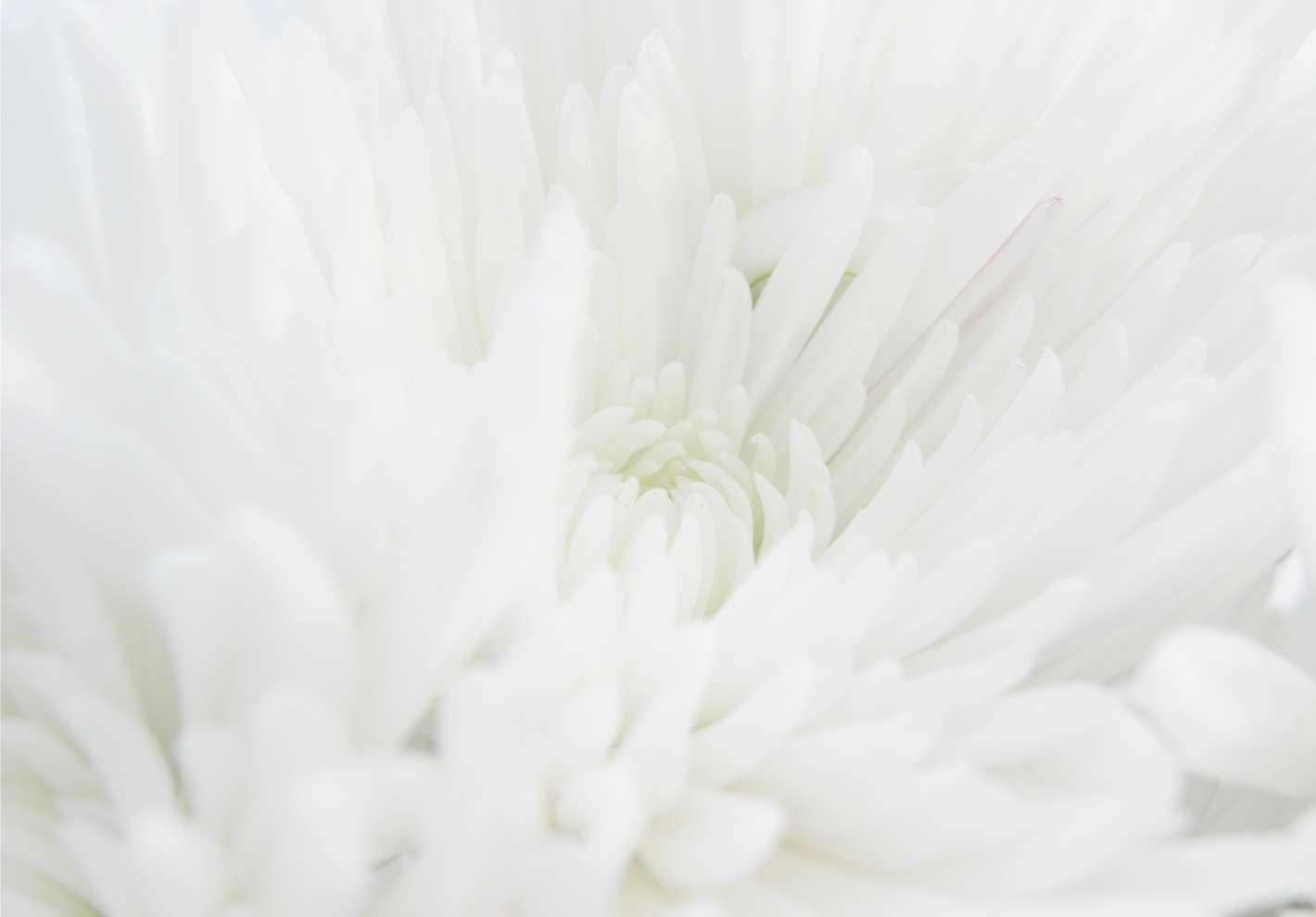 1420x990 Sympathy Cards