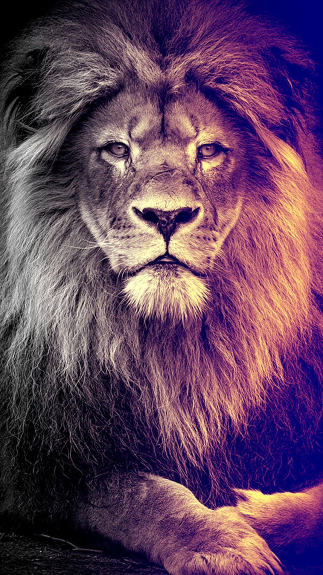 1080x1920 Lion Wallpaper Lion