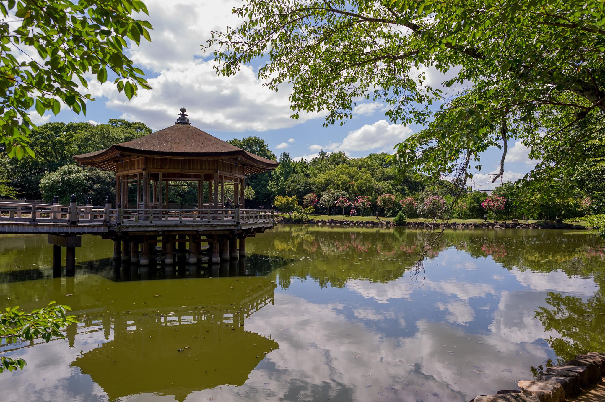 2048x1363 Download Nara Park wallpaper for mobile phone, free Nara Park HD picture