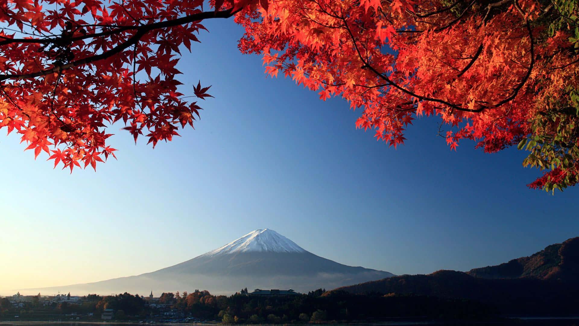 1920x1080 Japan Landscape Wallpaper for FREE