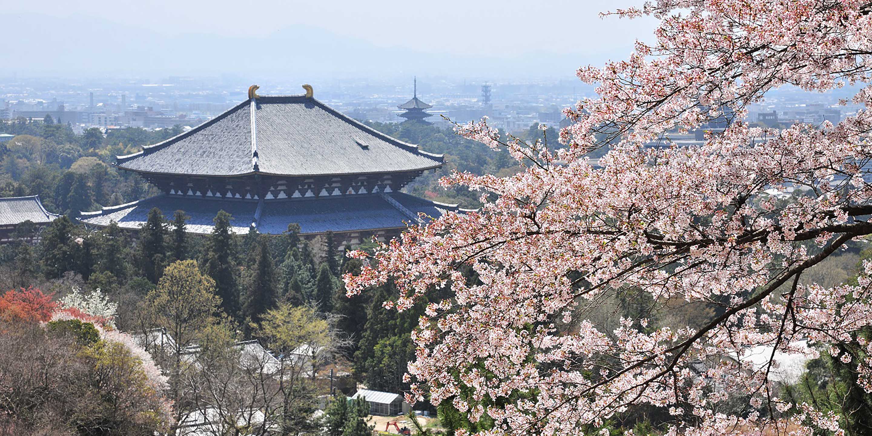 2880x1440 Nara City