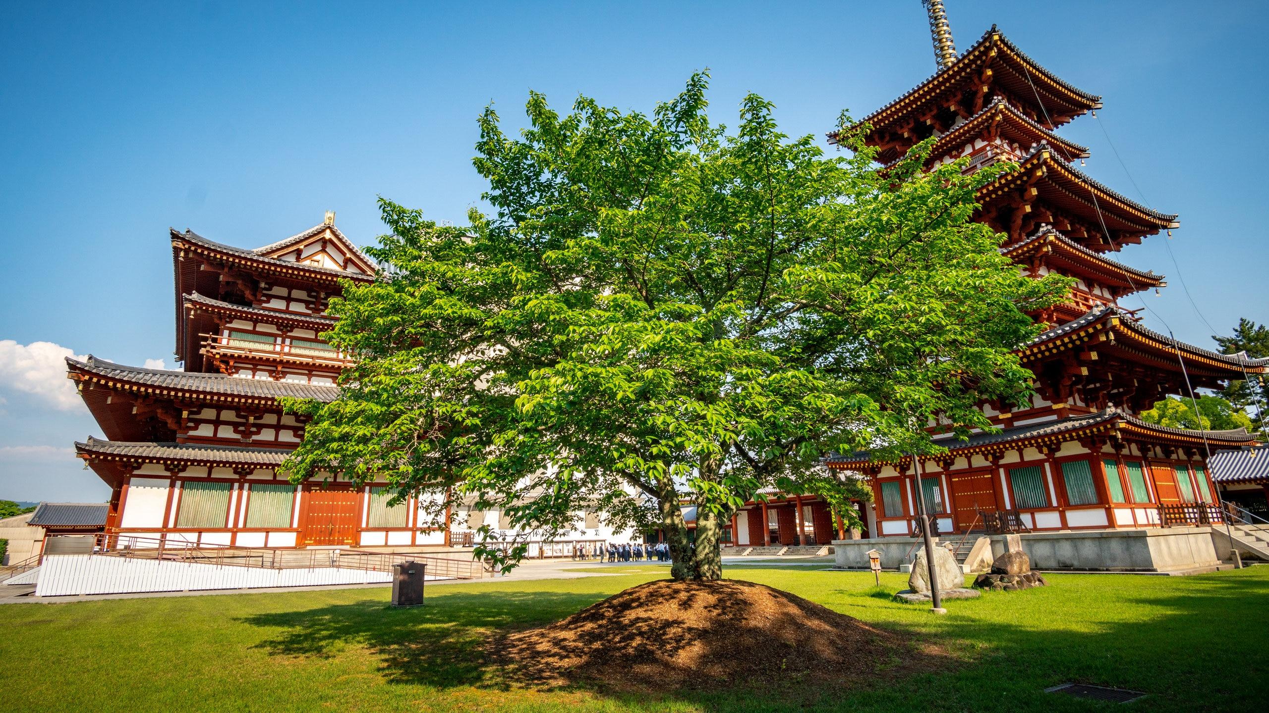 2560x1440 Visit Nara Prefecture: 2023 Travel Guide for Nara Prefecture, Japan