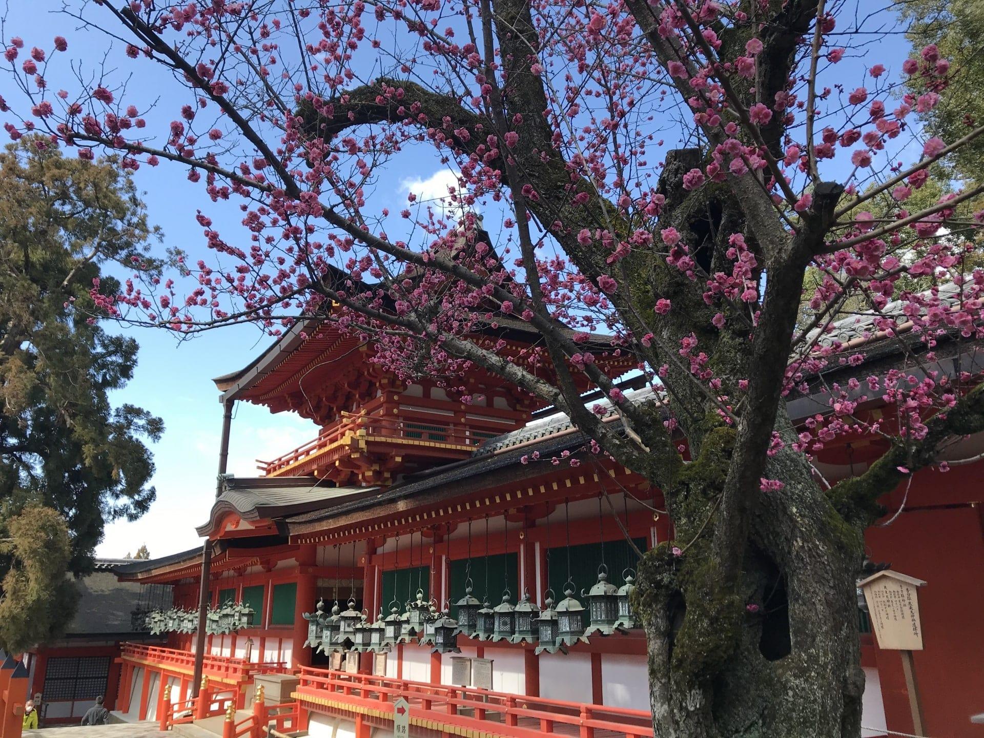 1920x1440 Kasuga Taisha Shrine: a World Heritage Shinto Shrine in Nara Web Magazine
