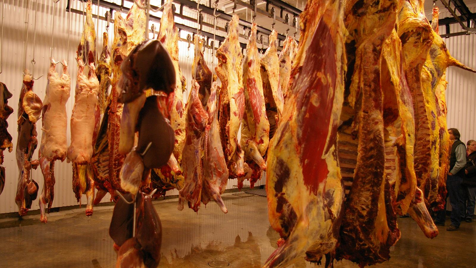 1600x900 Slaughterhouses Are Polluting Our Waterways