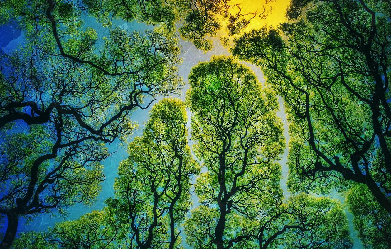 Nature Texture Wallpapers - Top Free Nature Texture Backgrounds