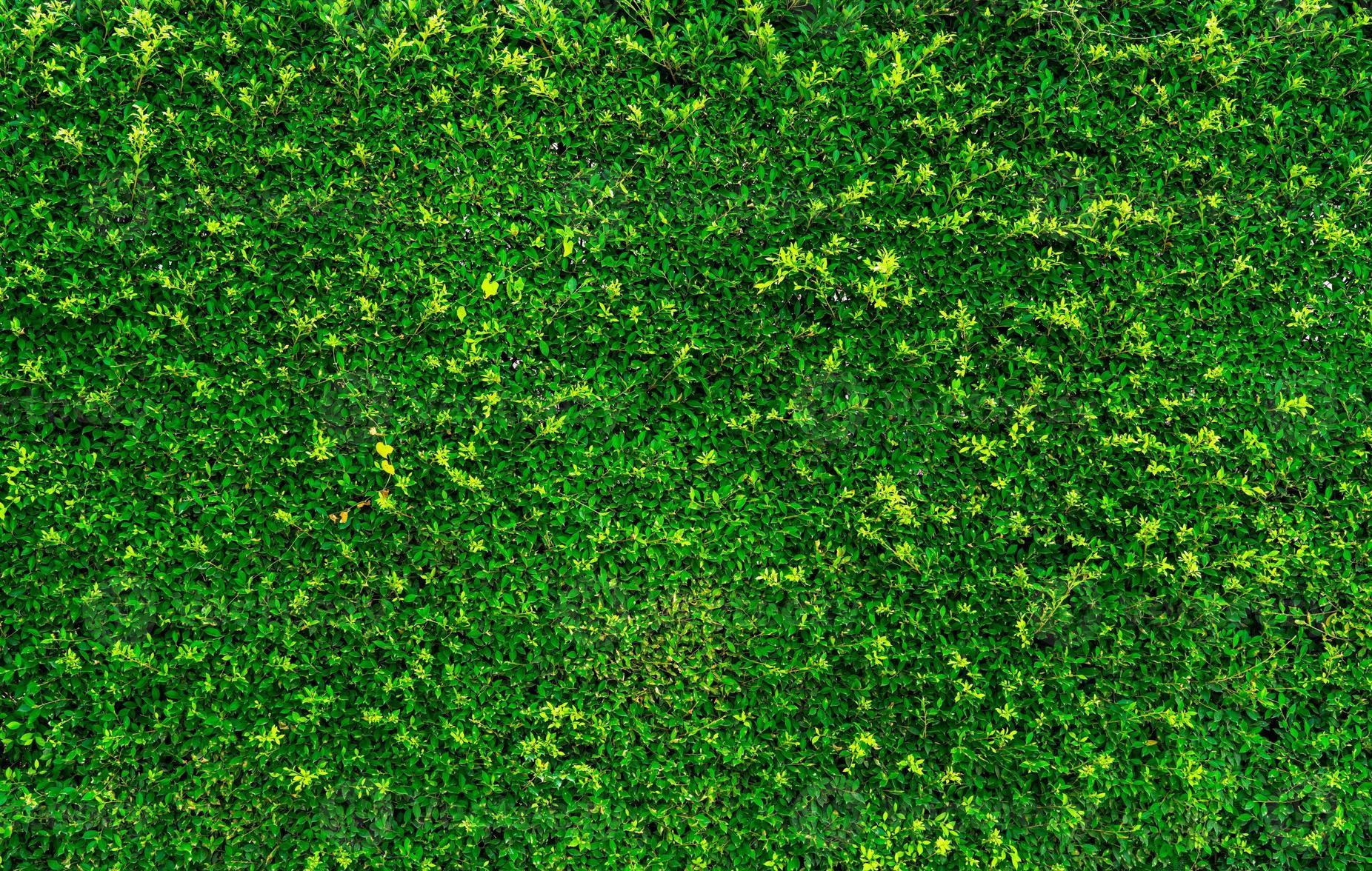 Nature Texture Wallpapers - Top Free Nature Texture Backgrounds