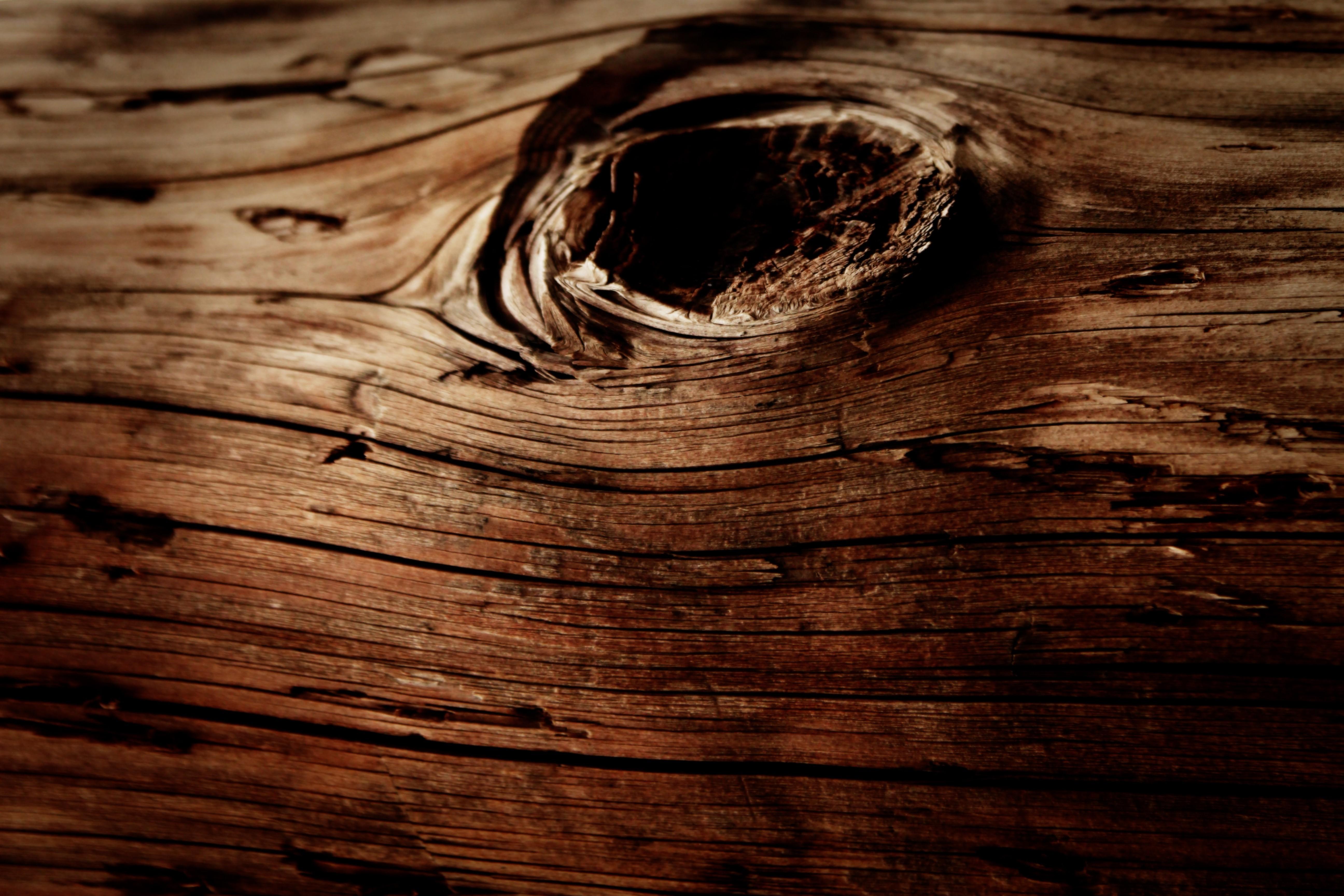 5184x3456 wood texture macro nature wallpaper