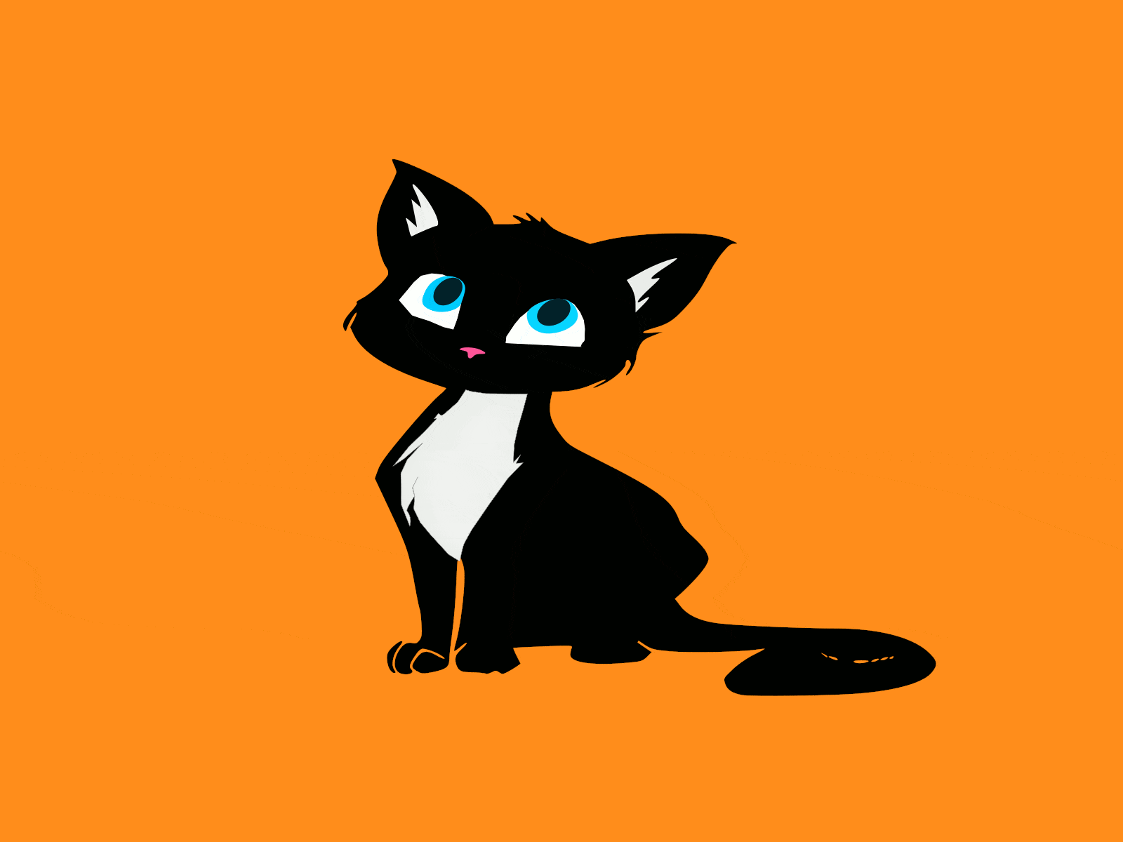1600x1200 Cat Gif