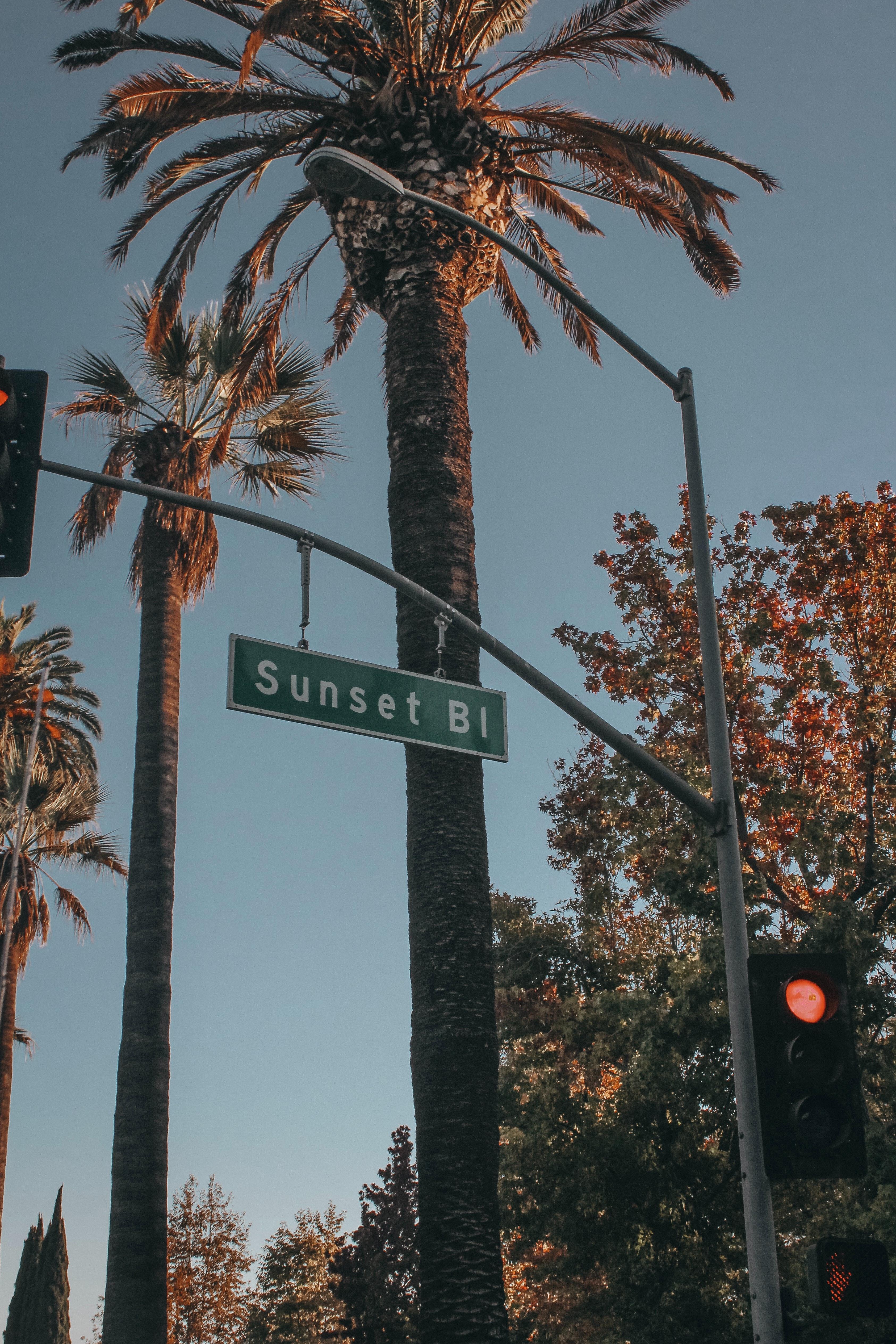 3370x5055 Street Sign Photo, Download The BEST Free Street Sign & HD Image