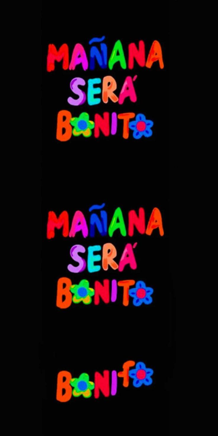 736x1472 Manana Sera Bonito Wallpaper
