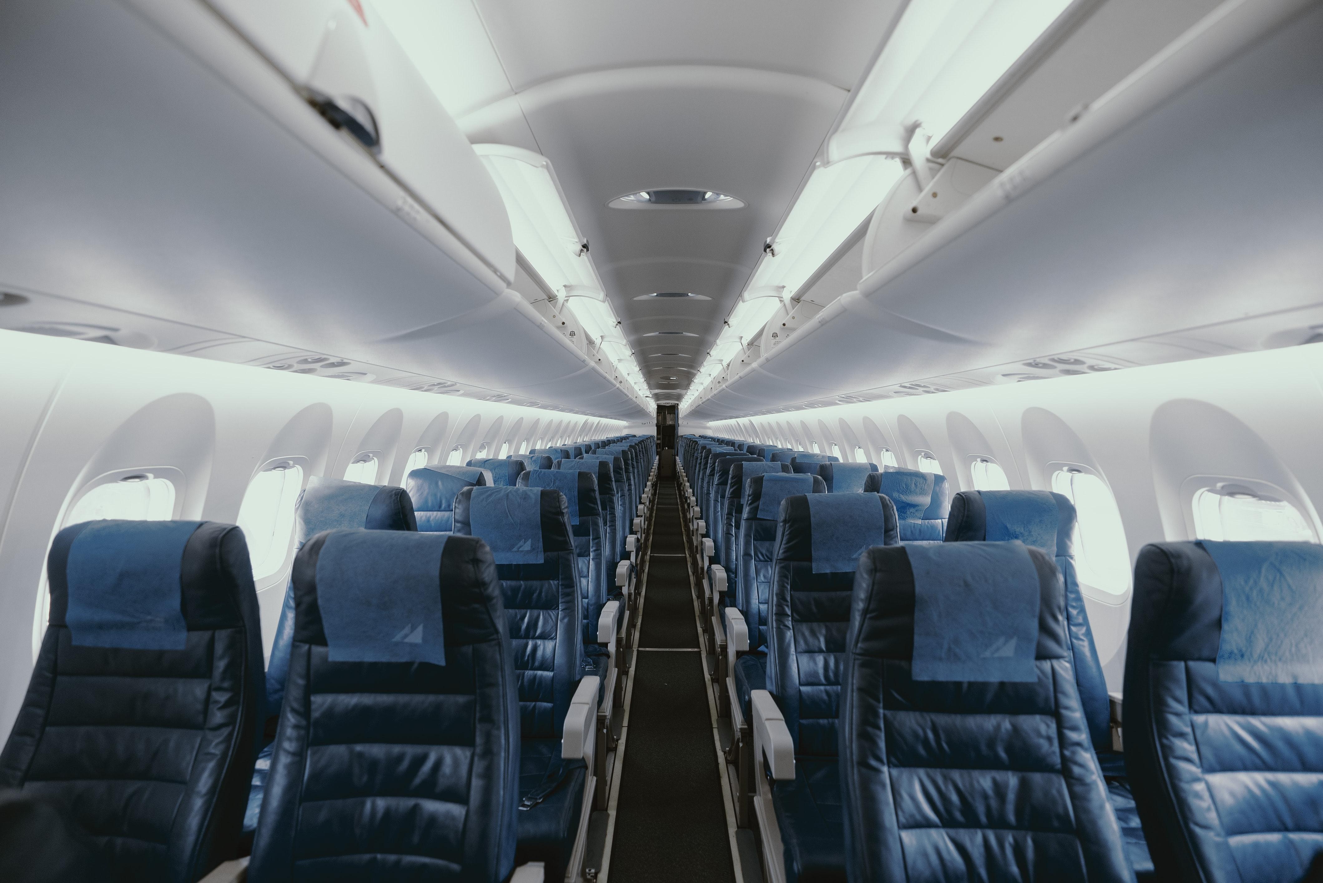 4240x2832 Plane passenger takes hairy revenge in viral TikTok video