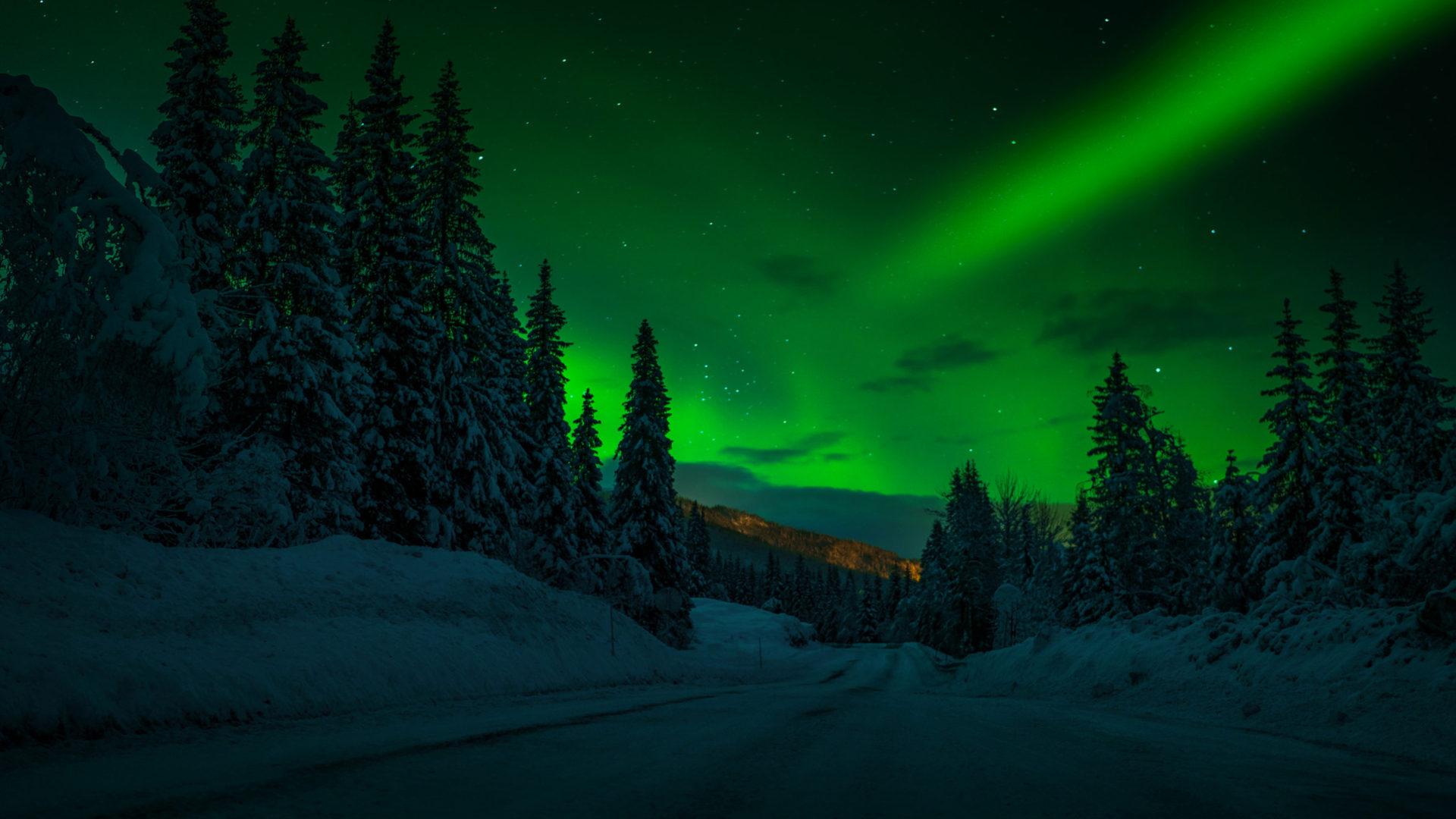 1920x1080 Norway Night Winter Snow Road