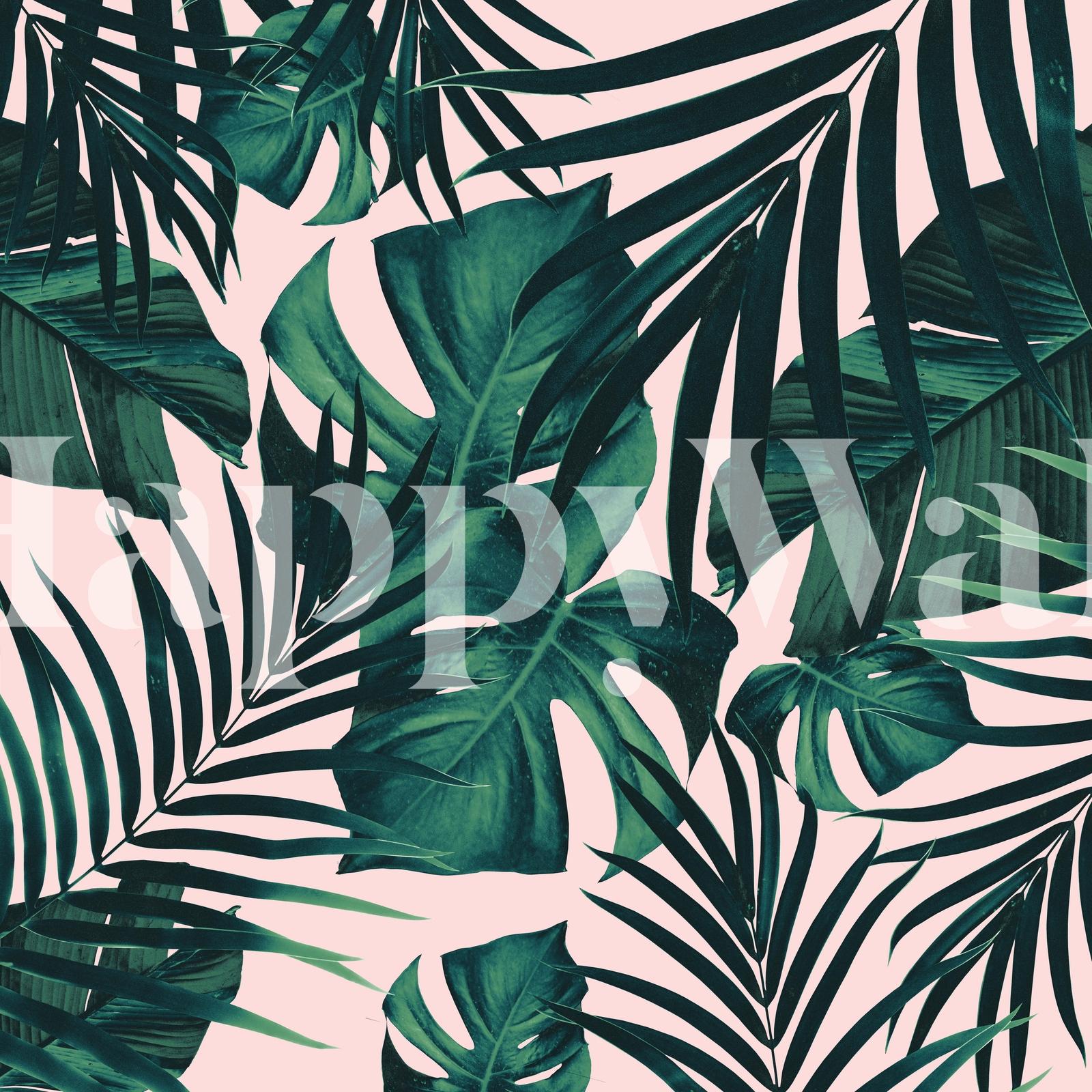 1600x1600 Tropical Jungle Leaves 5 Wallpaper