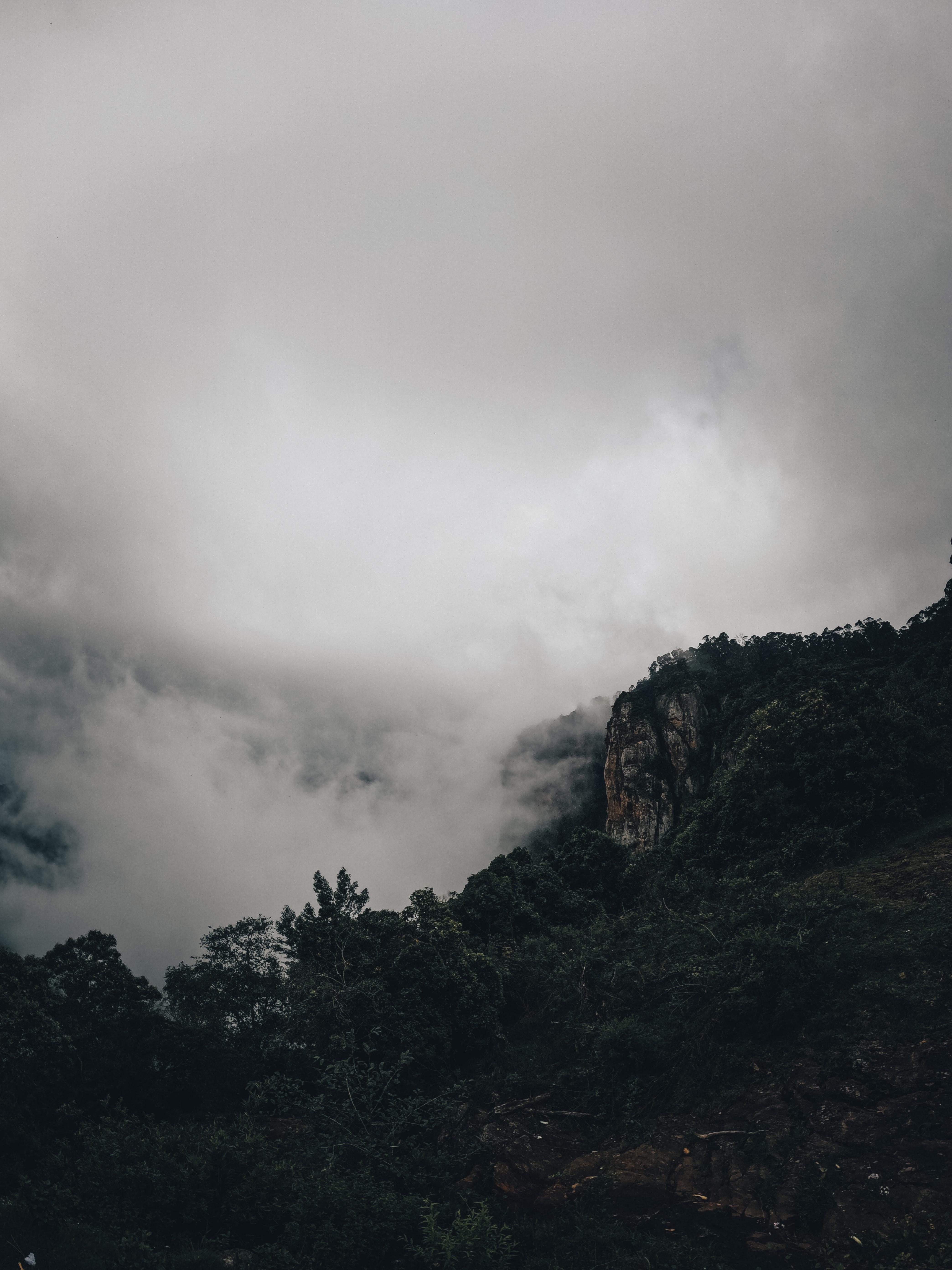 4176x5568 Kodaikanal Photo, Download The BEST Free Kodaikanal & HD Image