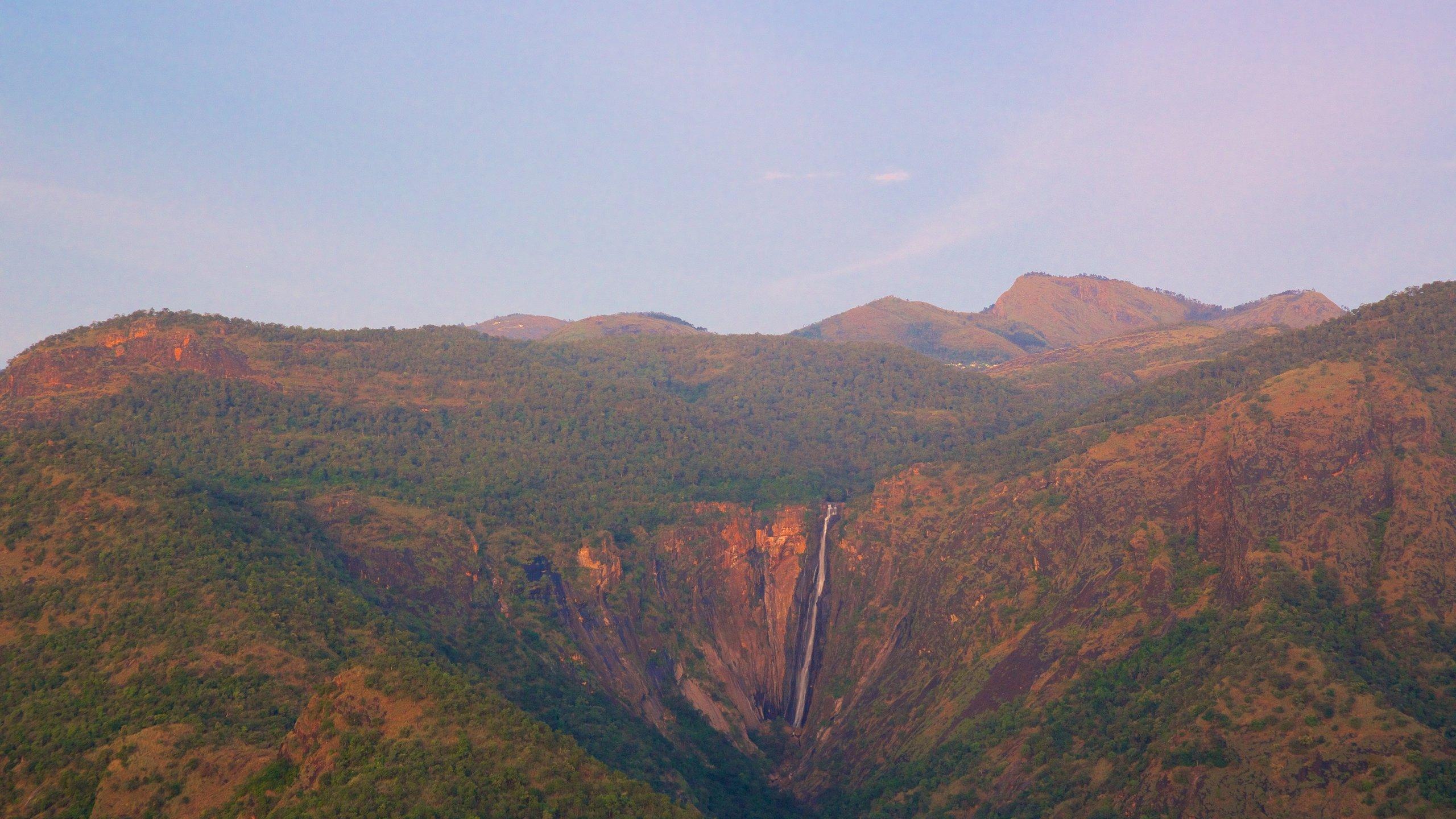 2560x1440 Visit Kodaikanal: 2023 Travel Guide for Kodaikanal, Tamil Nadu