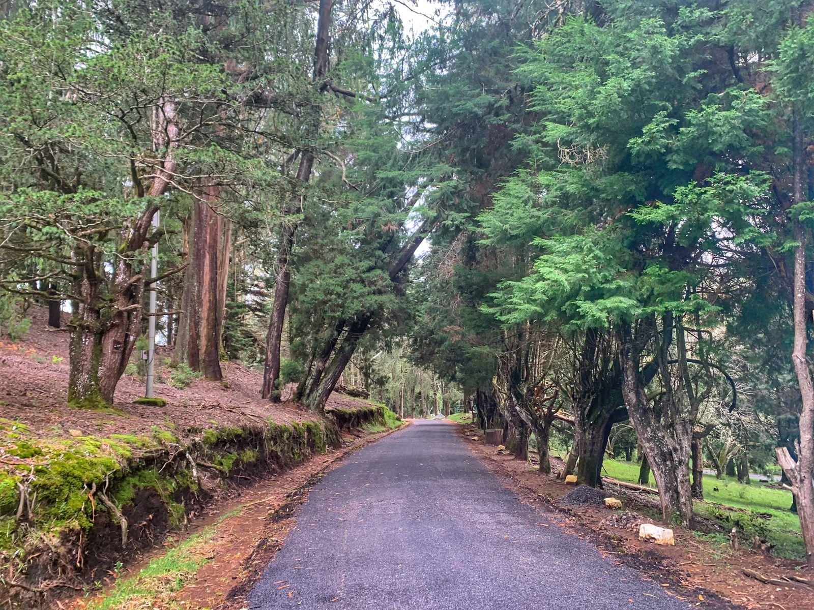 1600x1200 Travel guide to Kodaikanal