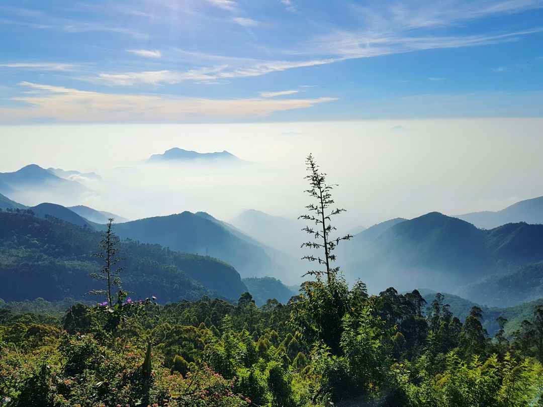 1080x810 Enchanting Kodaikanal in Winter