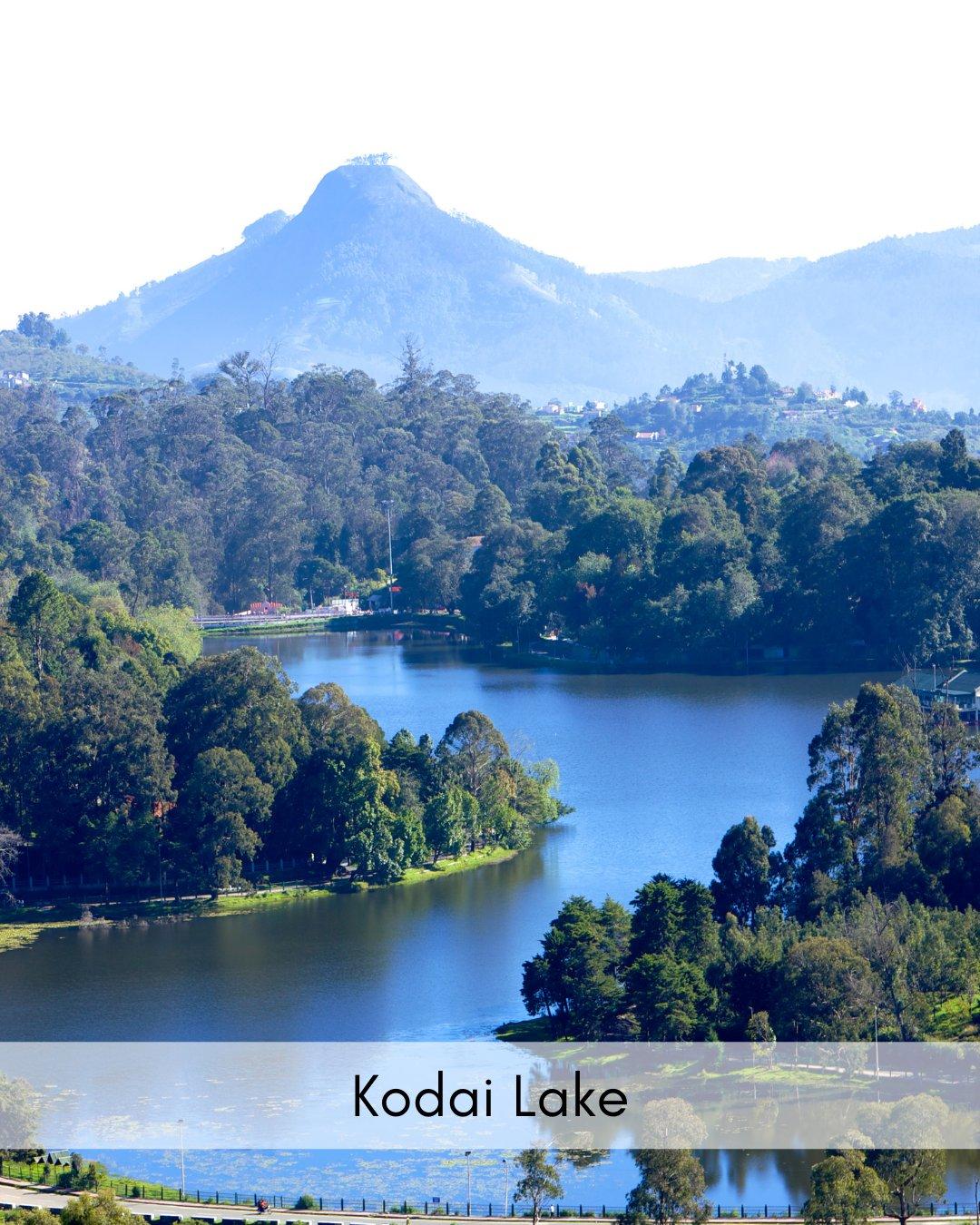 1080x1350 Wonder Gaze Tourism cool and misty weather, the scenic beauty of the rolling hills and the wooded forest of Kodaikanal and its surroundings will mesmerize any visitor throughout the
