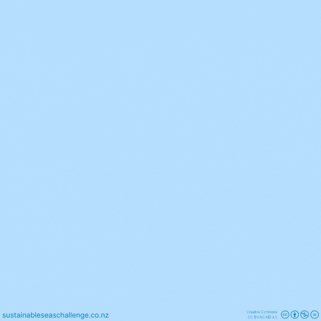 1080x1080 EBM as urban transport Seas National Science Challenge