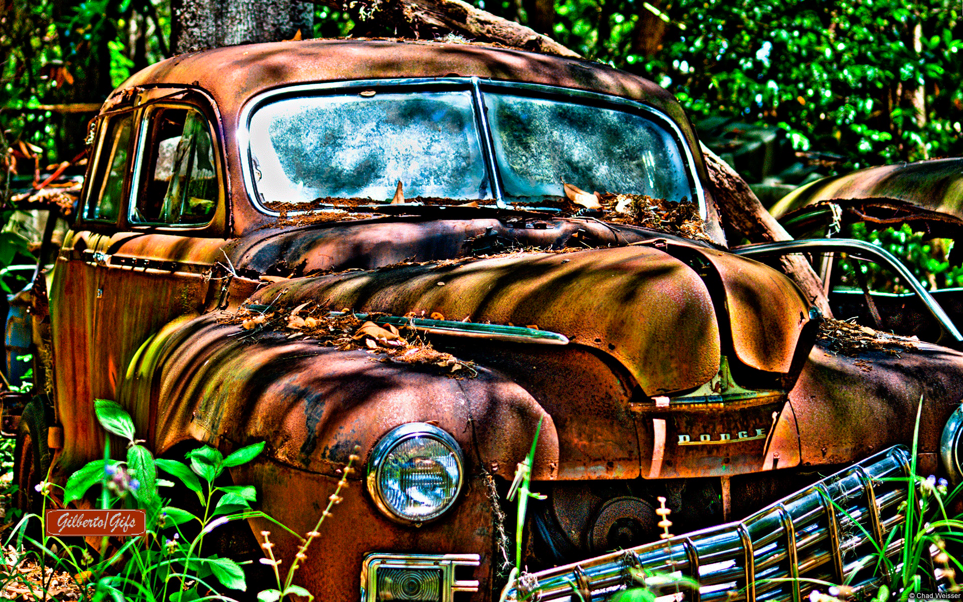 1920x1200 Gifs. Abandoned cars, Abandoned, Classic cars