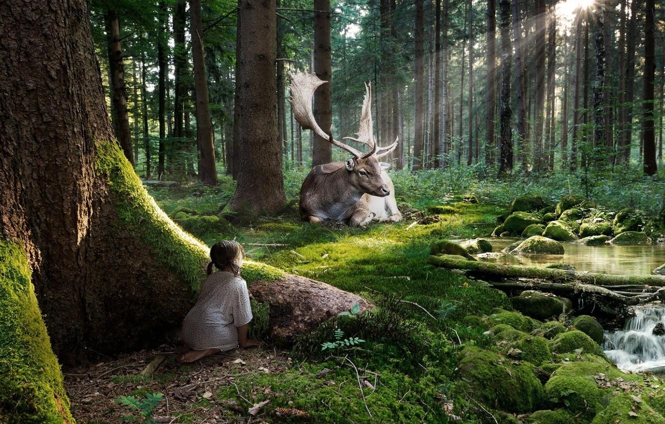 1332x850 Wallpaper forest, rays, stream, deer, Girl, observation image for desktop, section ситуации