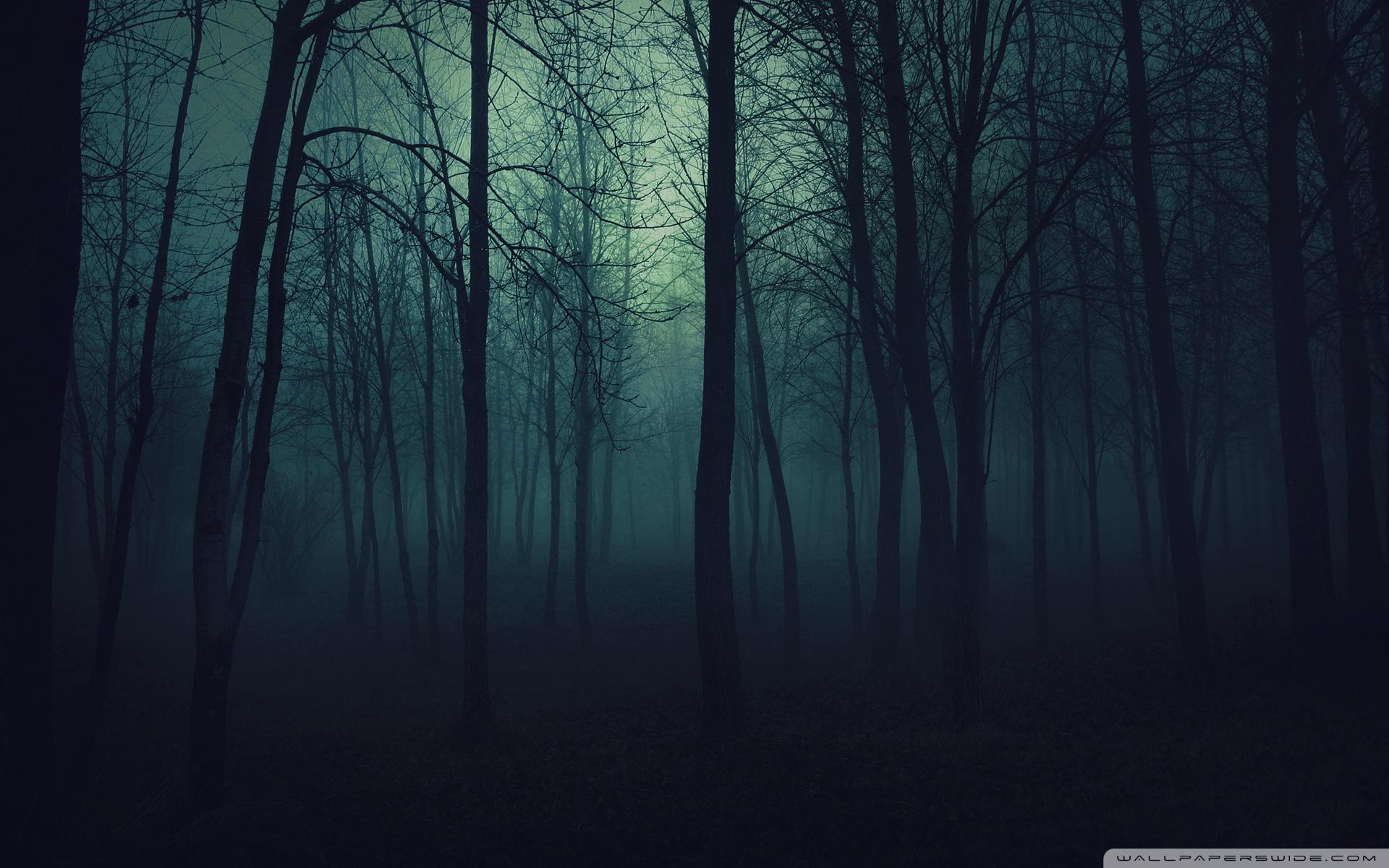 1920x1200 Forest Wallpaper Dark