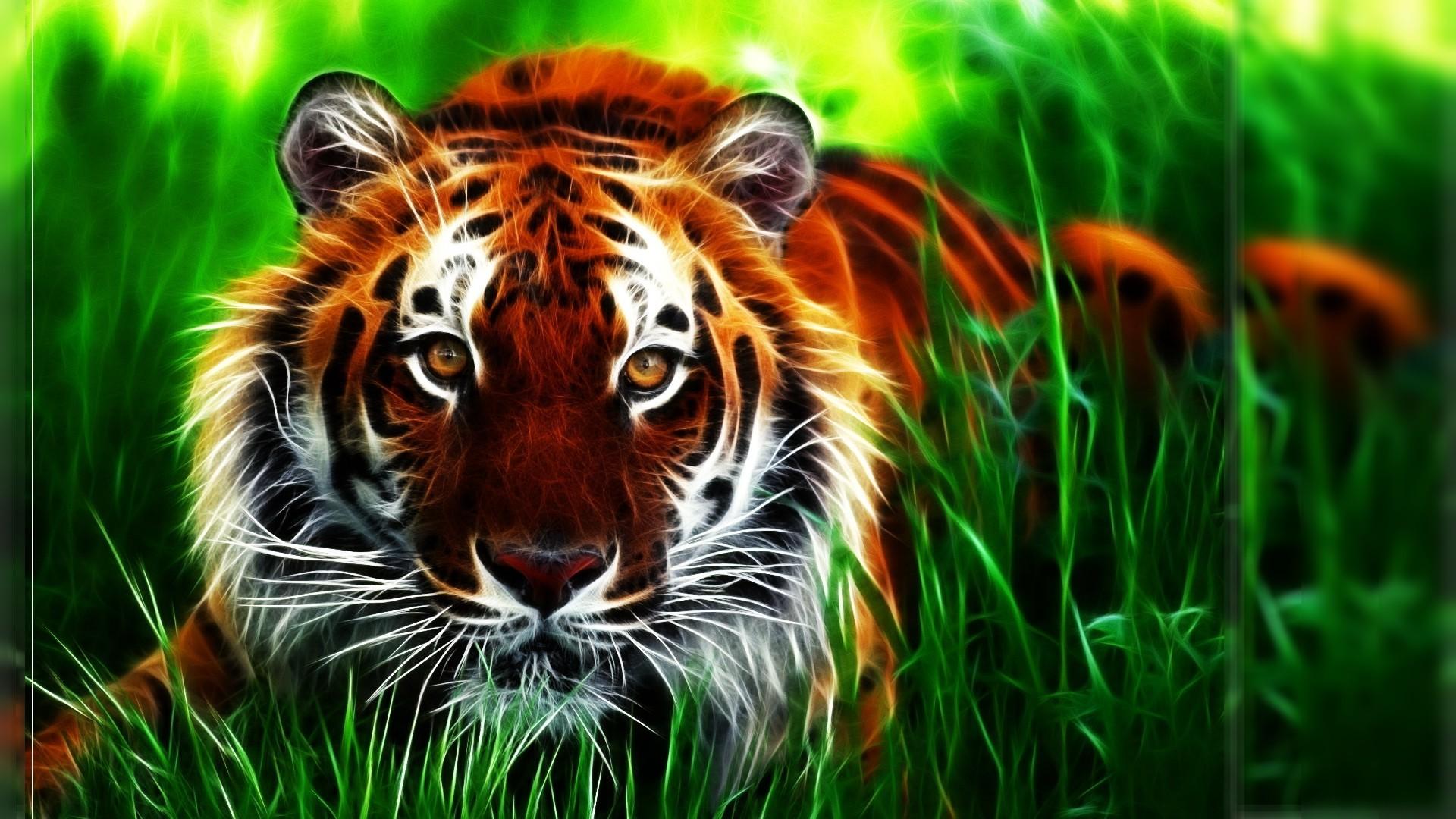 1920x1080 hd 3D tiger pics HD tiger wallpaper