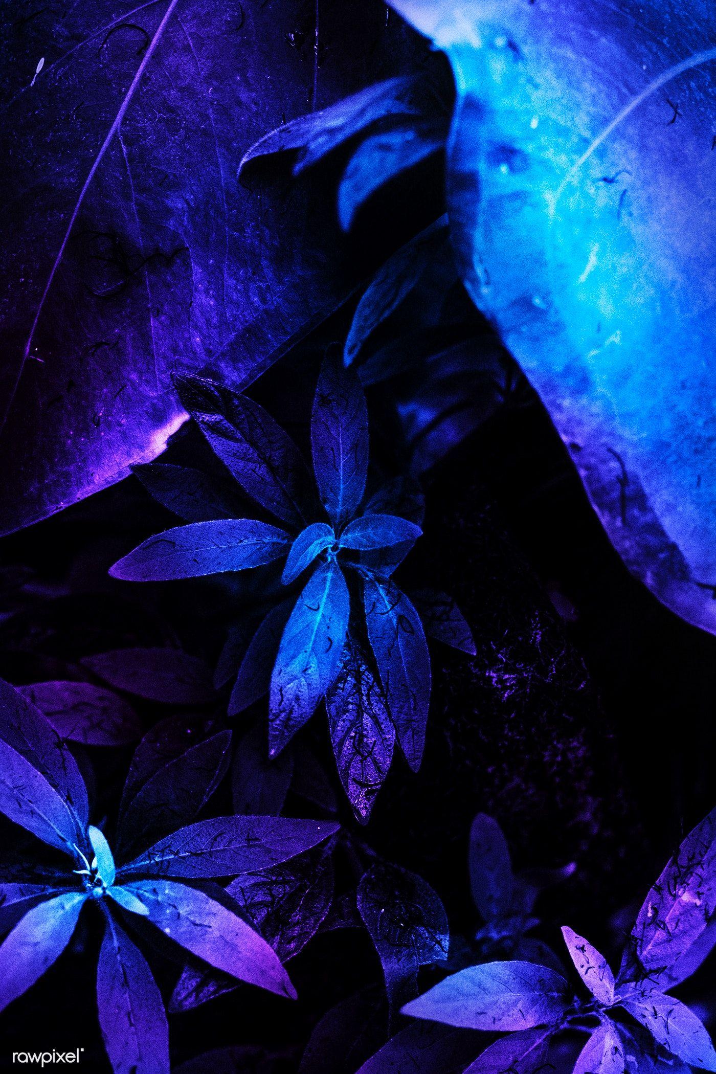 1400x2100 Neon tropical jungle foliage banner. premium image / HwangMangjoo. Plant wallpaper, Unique iphone wallpaper, Tropical wallpaper