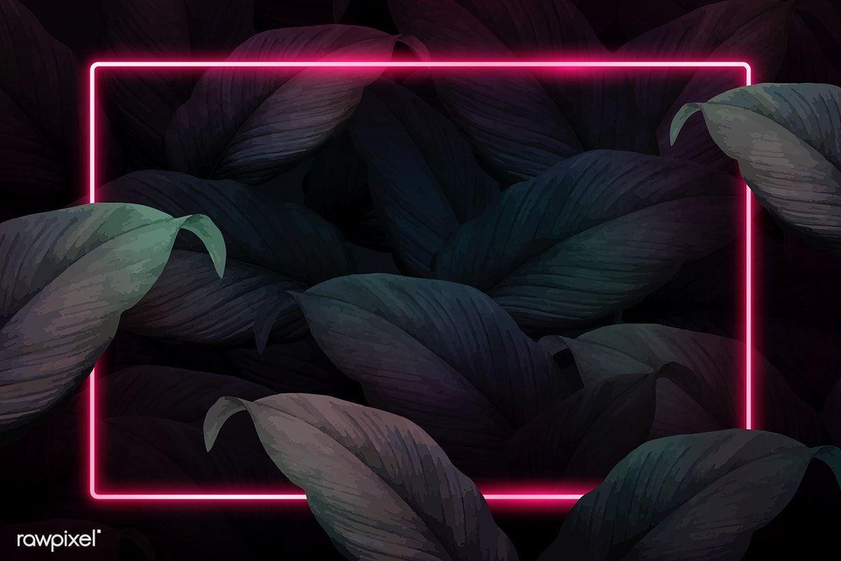 1200x800 Rectangle pink neon frame on tropical leaves background vector. premium image / man. Leaf background, Flower background wallpaper, Neon wallpaper