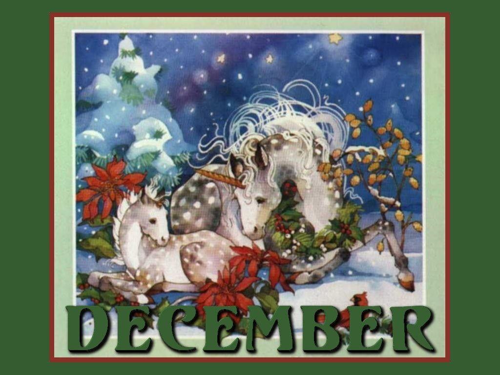 1024x768 December. Unicorns 1. December, Unicorns and Pegasus