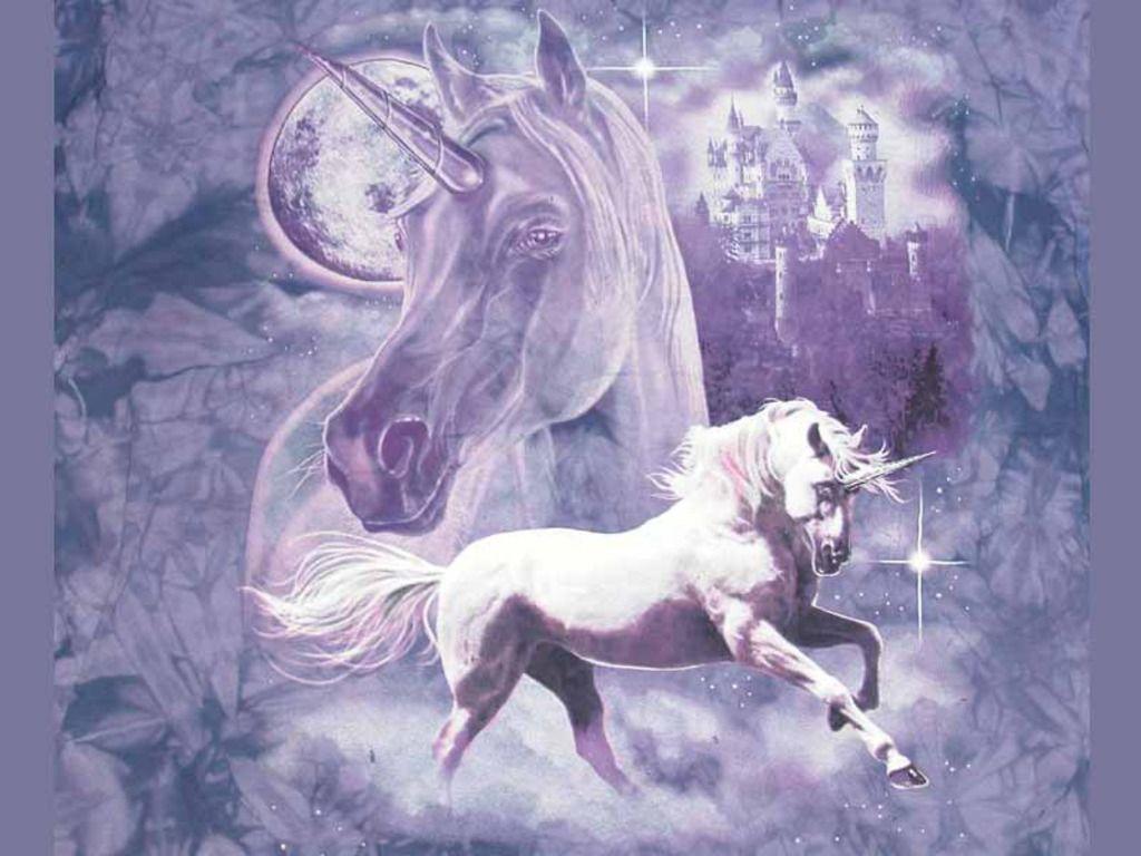 1024x768 Google Image Result for /files