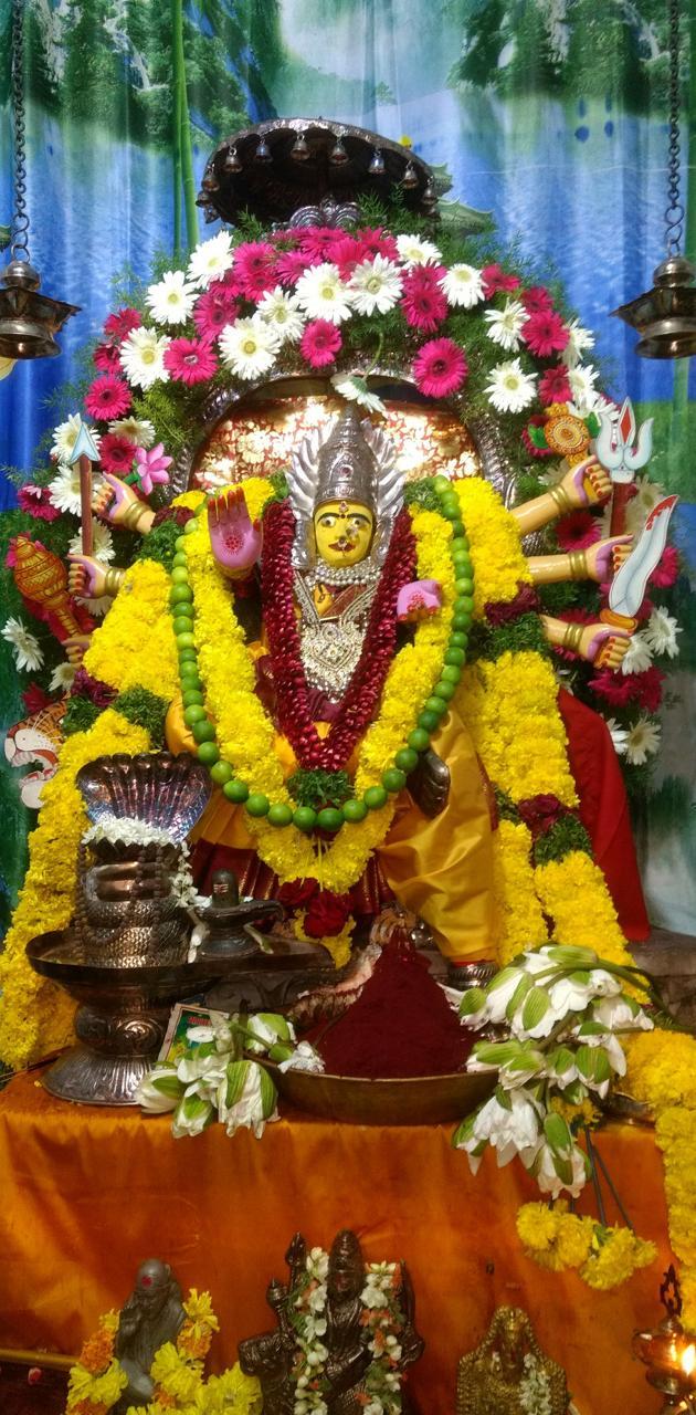 630x1280 Kanaka Durga matha wallpaper