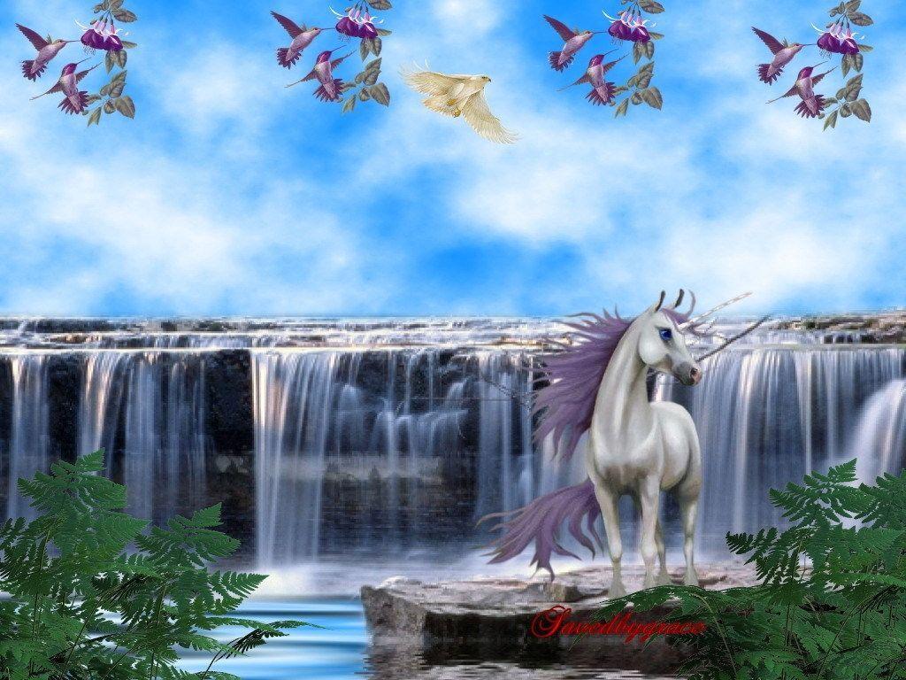 1024x768 Unicorns Related Keywords & Suggestions Long Tail
