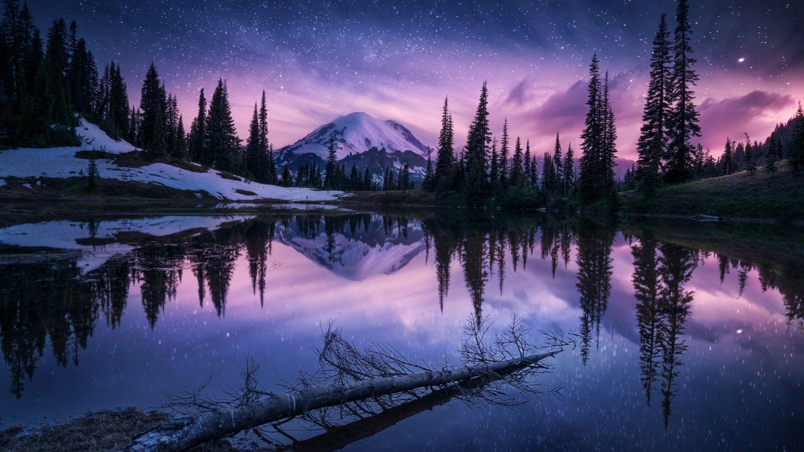 2560X1440 Nature Wallpapers - Top Free 2560X1440 Nature ...