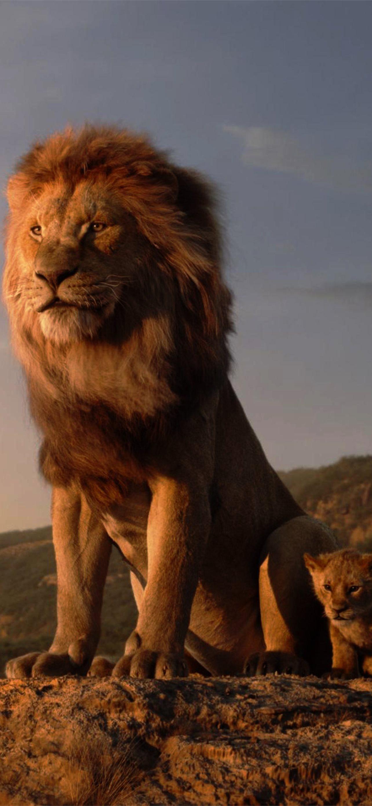 1284x2778 The Lion King Resolution HD Movies 4K Image Photo. iPhone Wallpaper Free Download