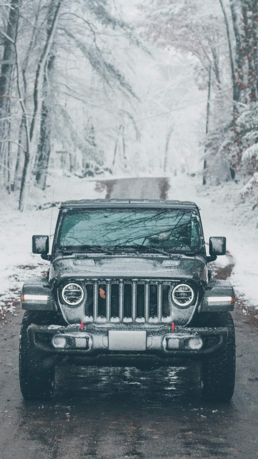 900x1600 Thar iPhone Wallpaper