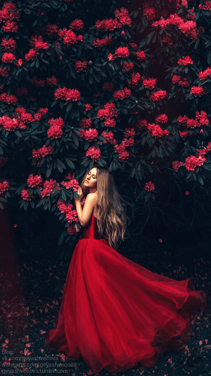 720x1280 accessories, background, beautiful, beauty, cosmetic, design