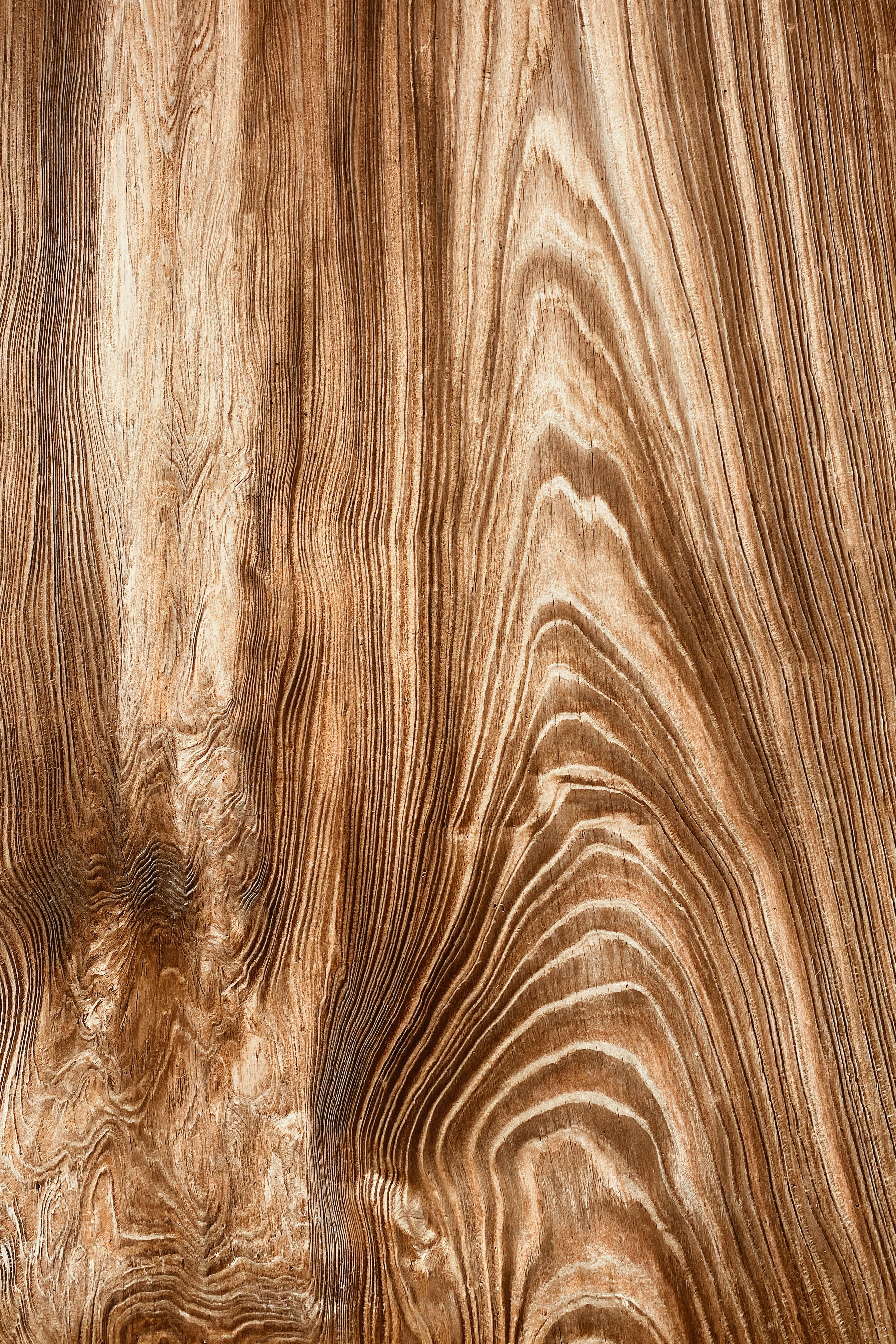2688x4032 Wood Texture Photo, Download The BEST Free Wood Texture & HD Image