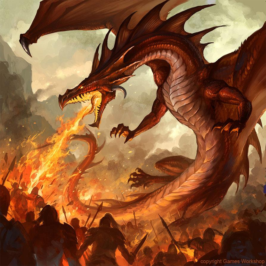 894x894 Fire Dragon Wallpaper