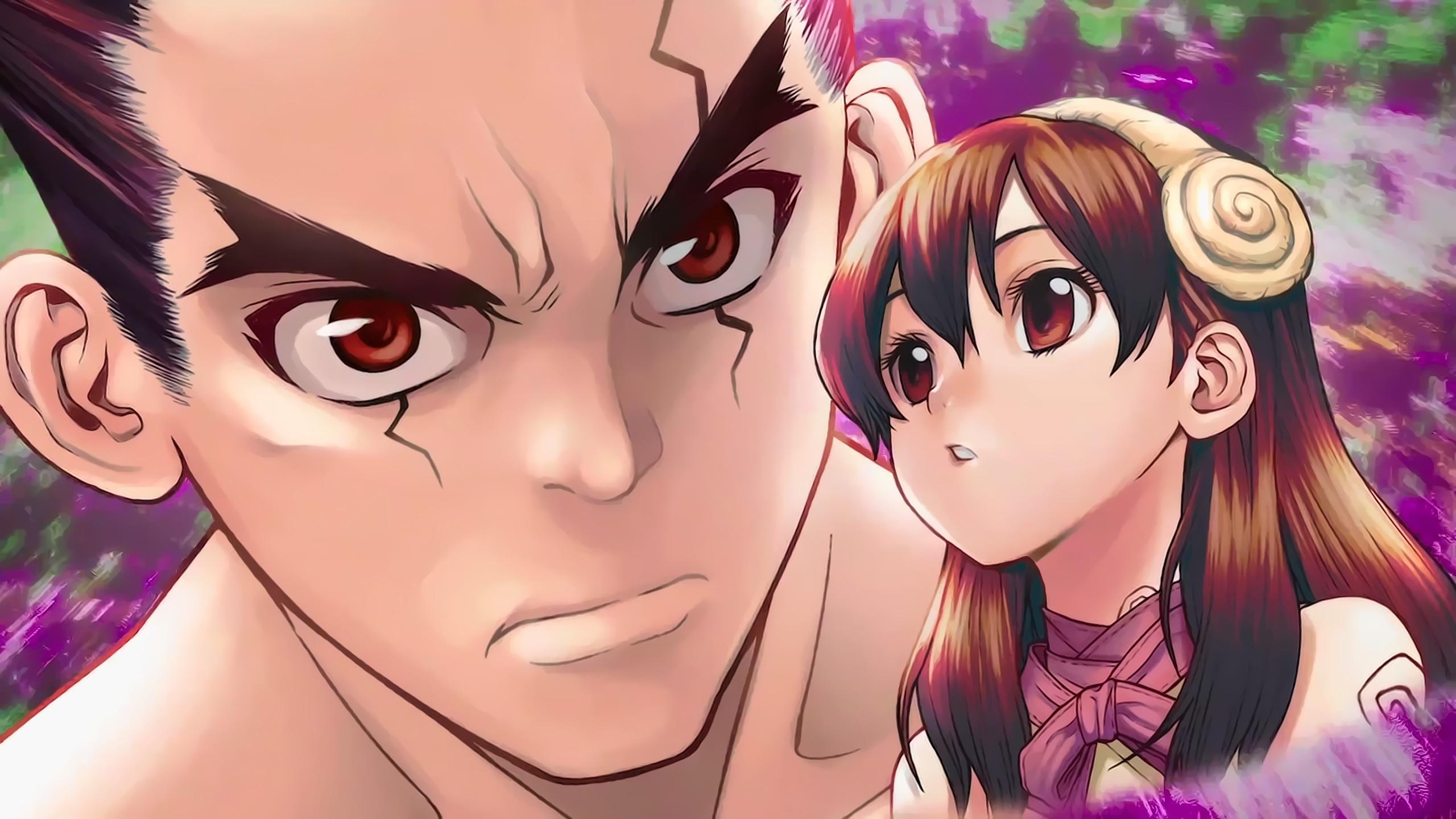 2560x1440 HD desktop wallpaper: Anime, Dr Stone, Taiju Oki, Yuzuriha Ogawa download free picture
