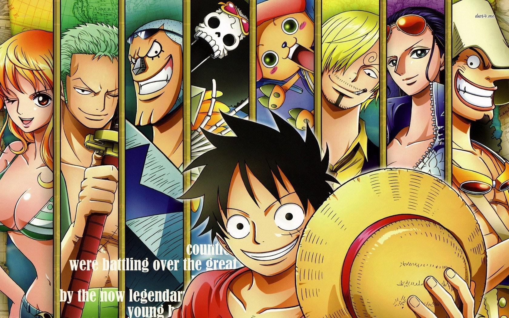 Luffy Crew Wallpapers Top Free Luffy Crew Backgrounds WallpaperAccess